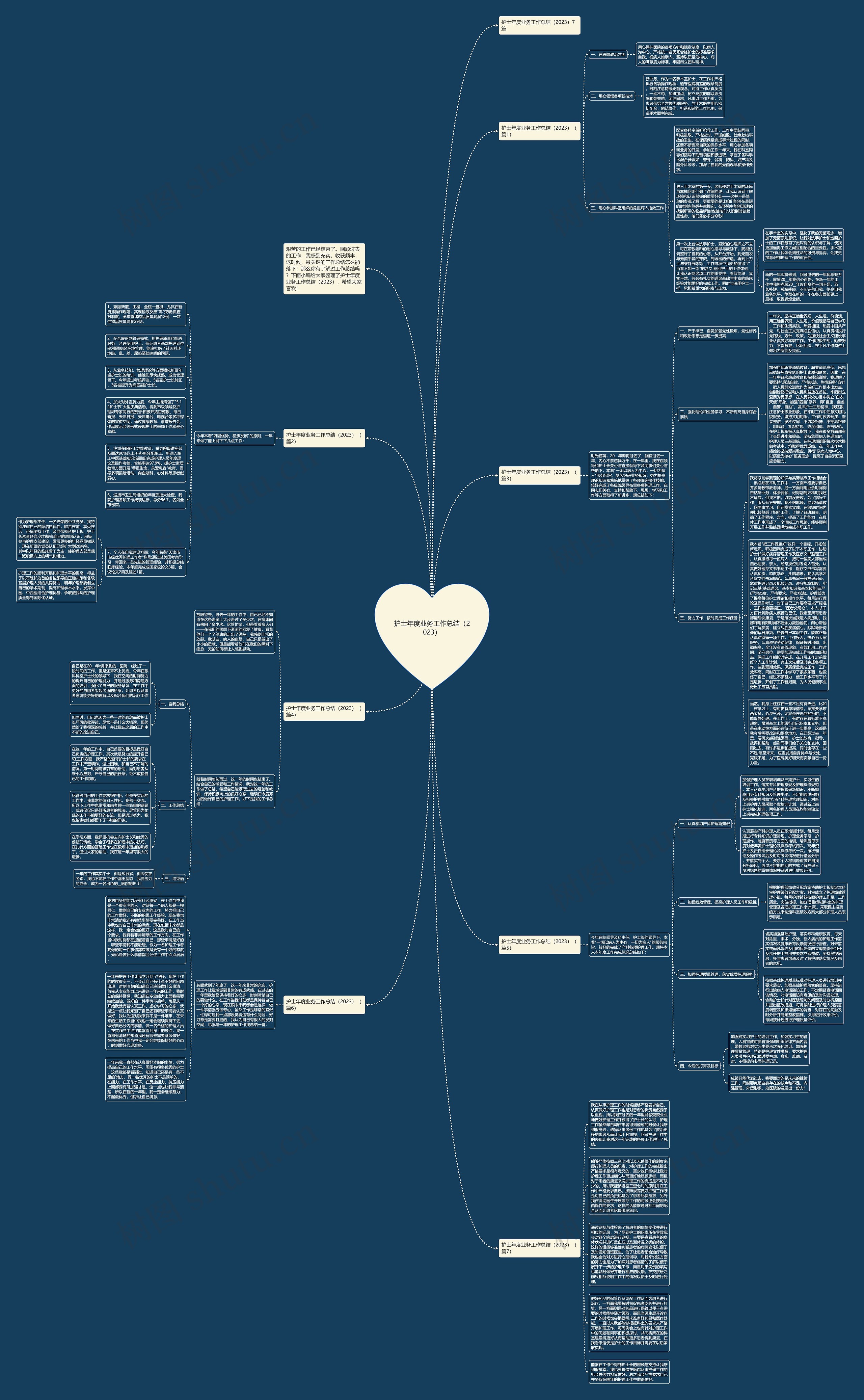 护士年度业务工作总结（2023）思维导图