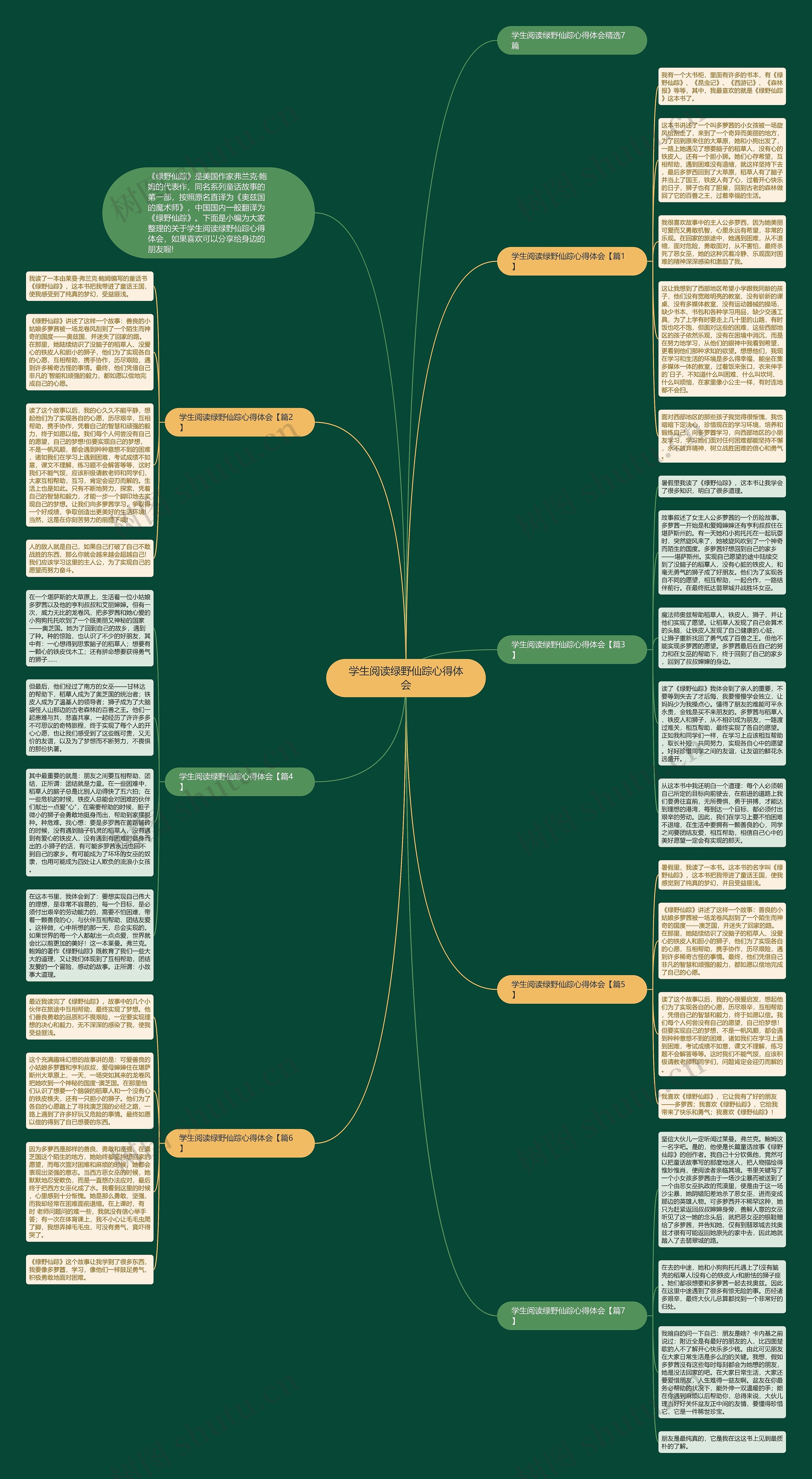 学生阅读绿野仙踪心得体会思维导图
