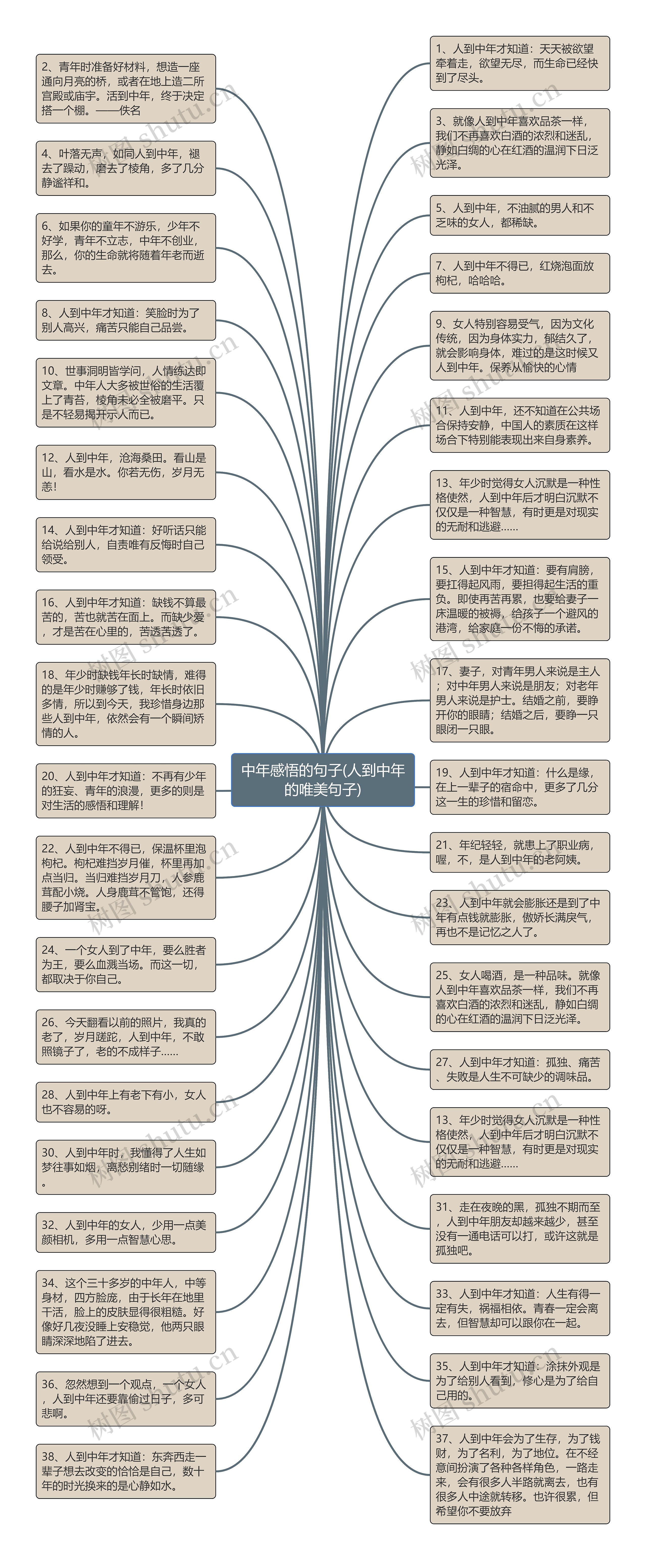 中年感悟的句子(人到中年的唯美句子)思维导图