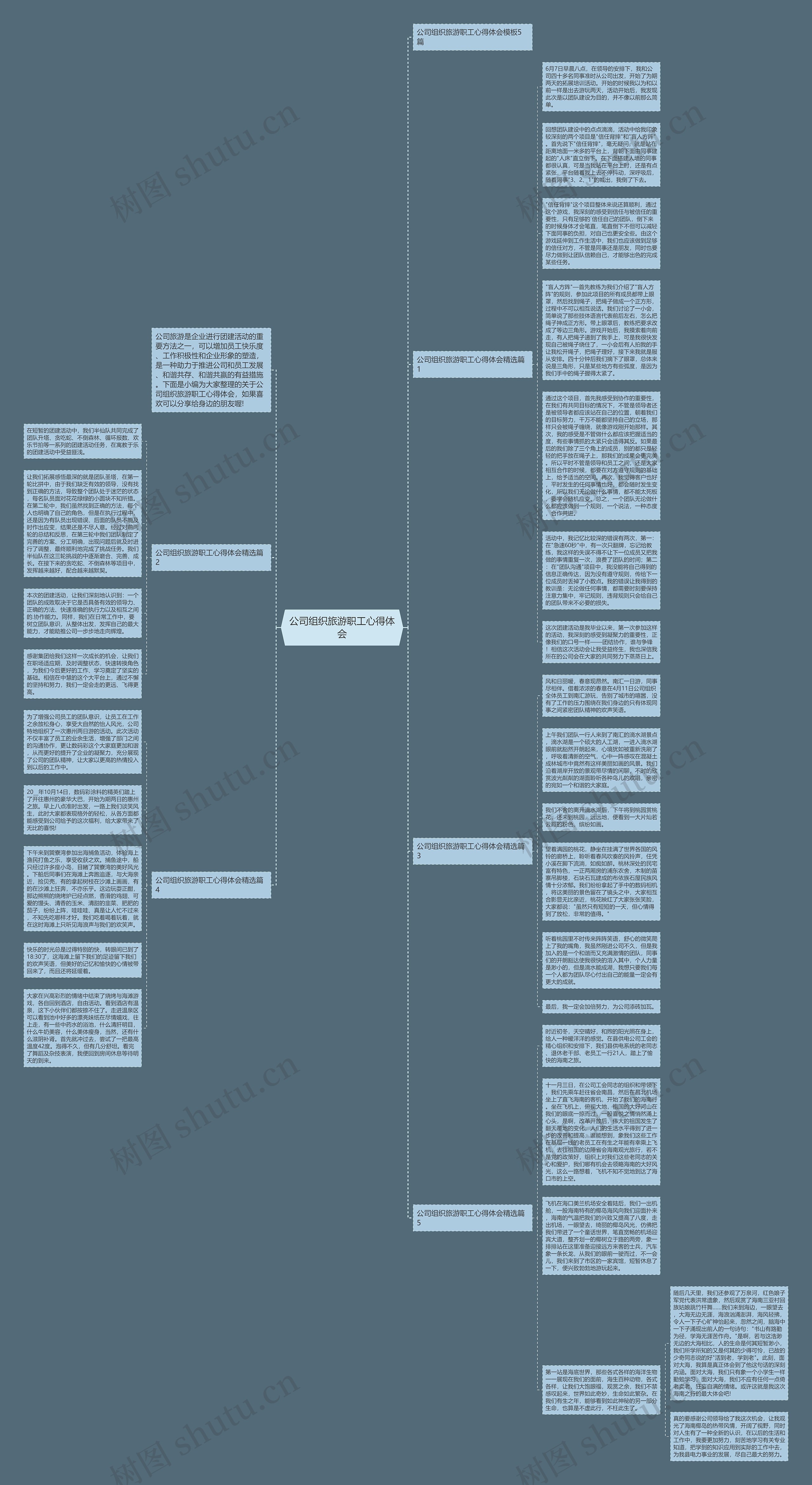 公司组织旅游职工心得体会思维导图