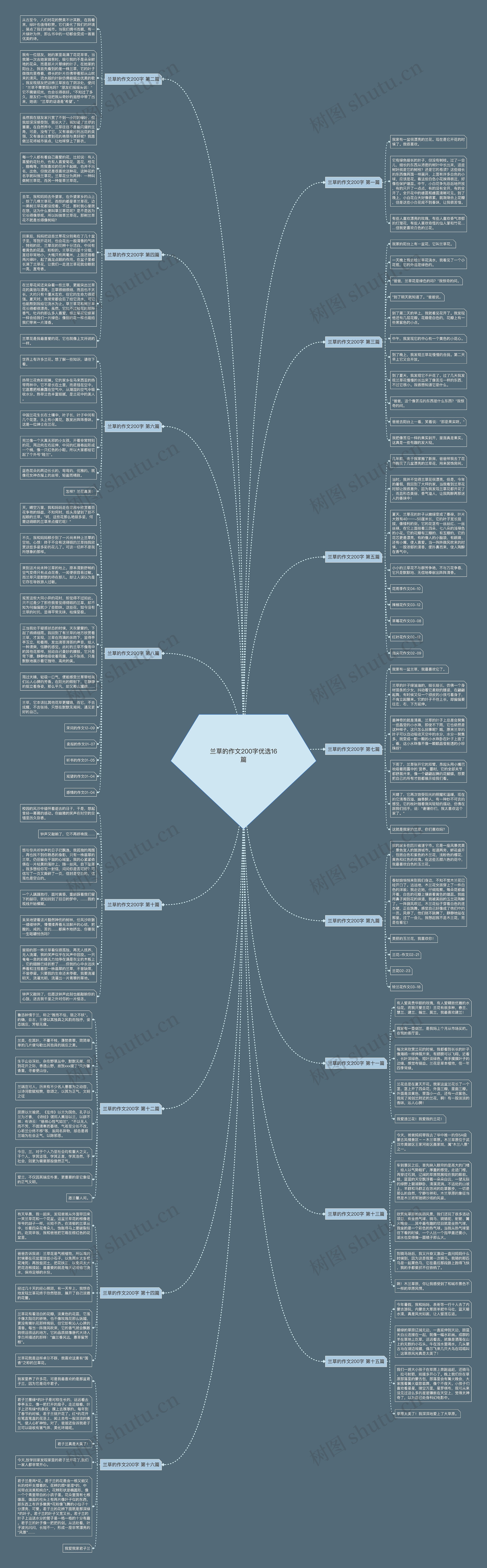 兰草的作文200字优选16篇思维导图