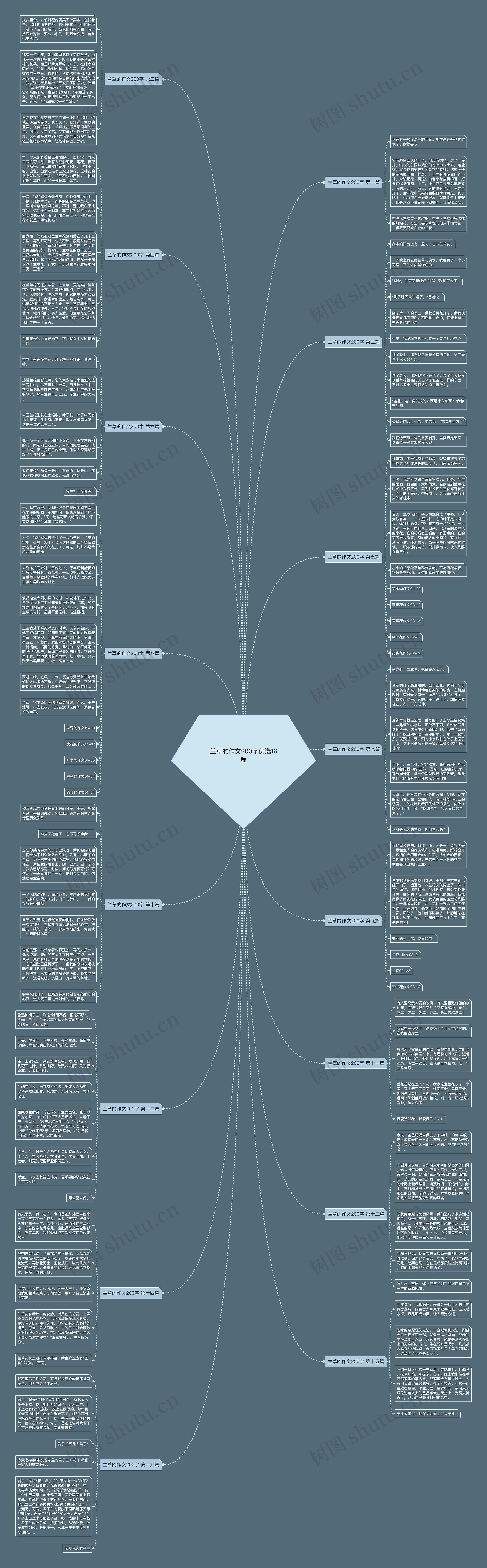 兰草的作文200字优选16篇 兰草的作文200字优选16篇