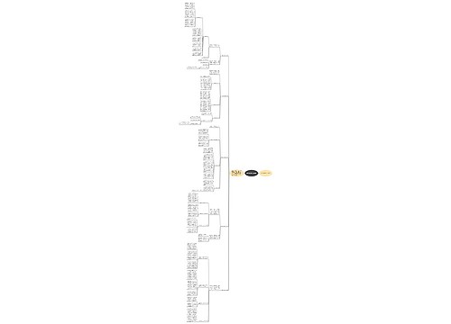 九年级地理教师工作总结
