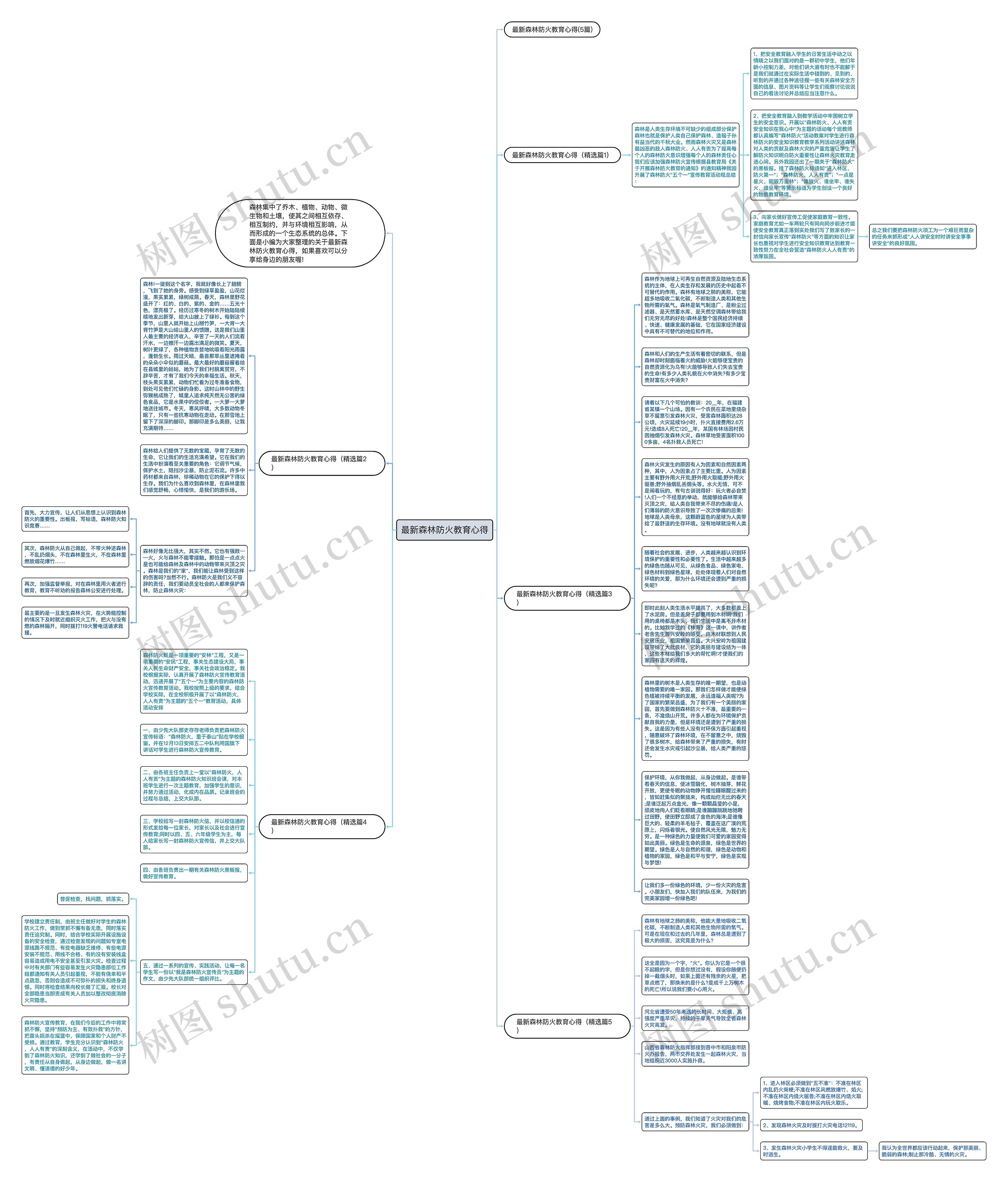 最新森林防火教育心得思维导图