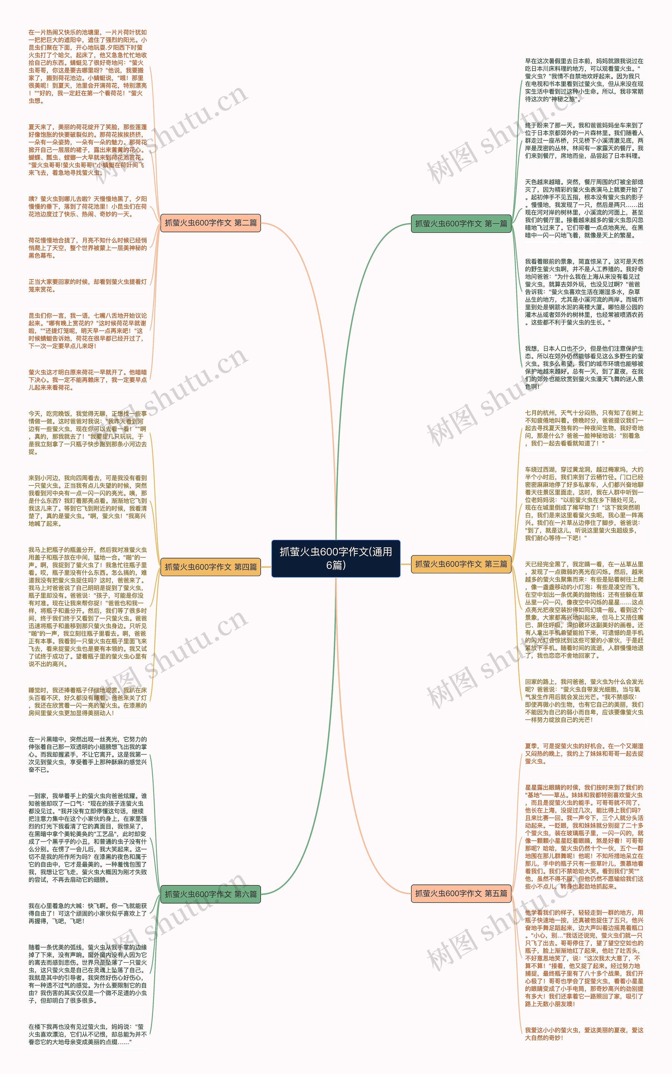 抓萤火虫600字作文(通用6篇)思维导图