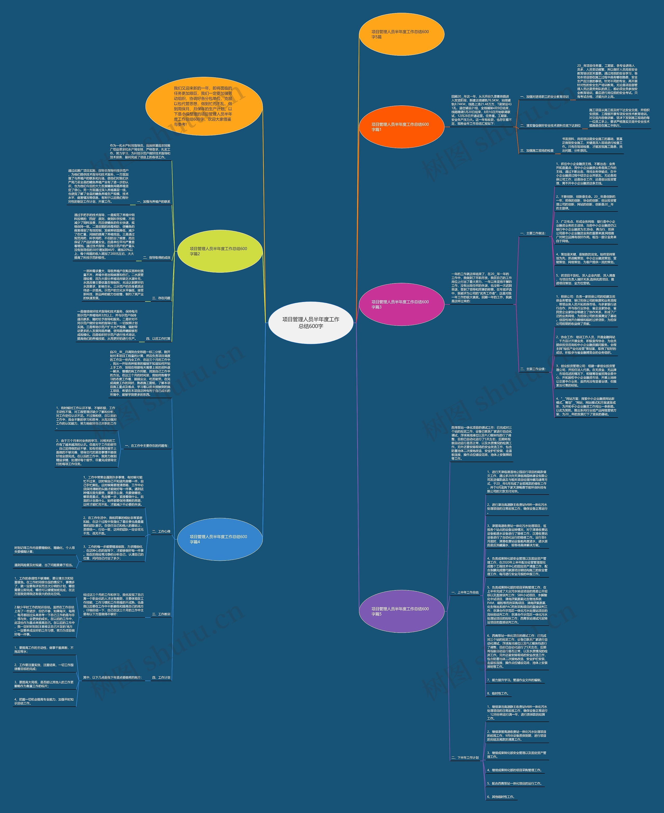 项目管理人员半年度工作总结600字思维导图