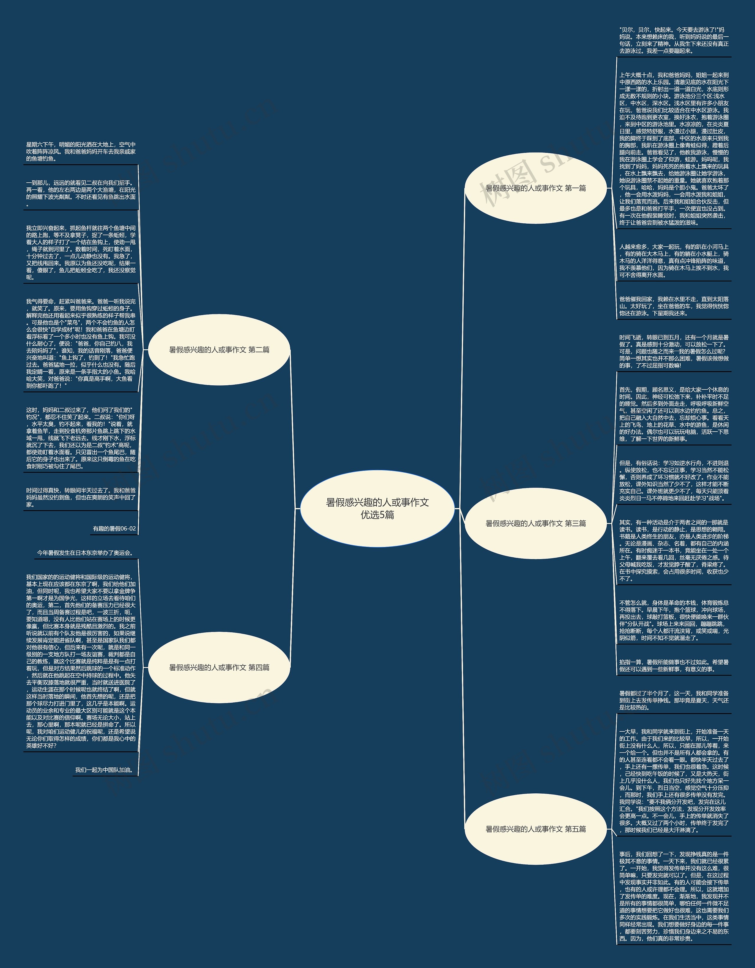 暑假感兴趣的人或事作文优选5篇思维导图