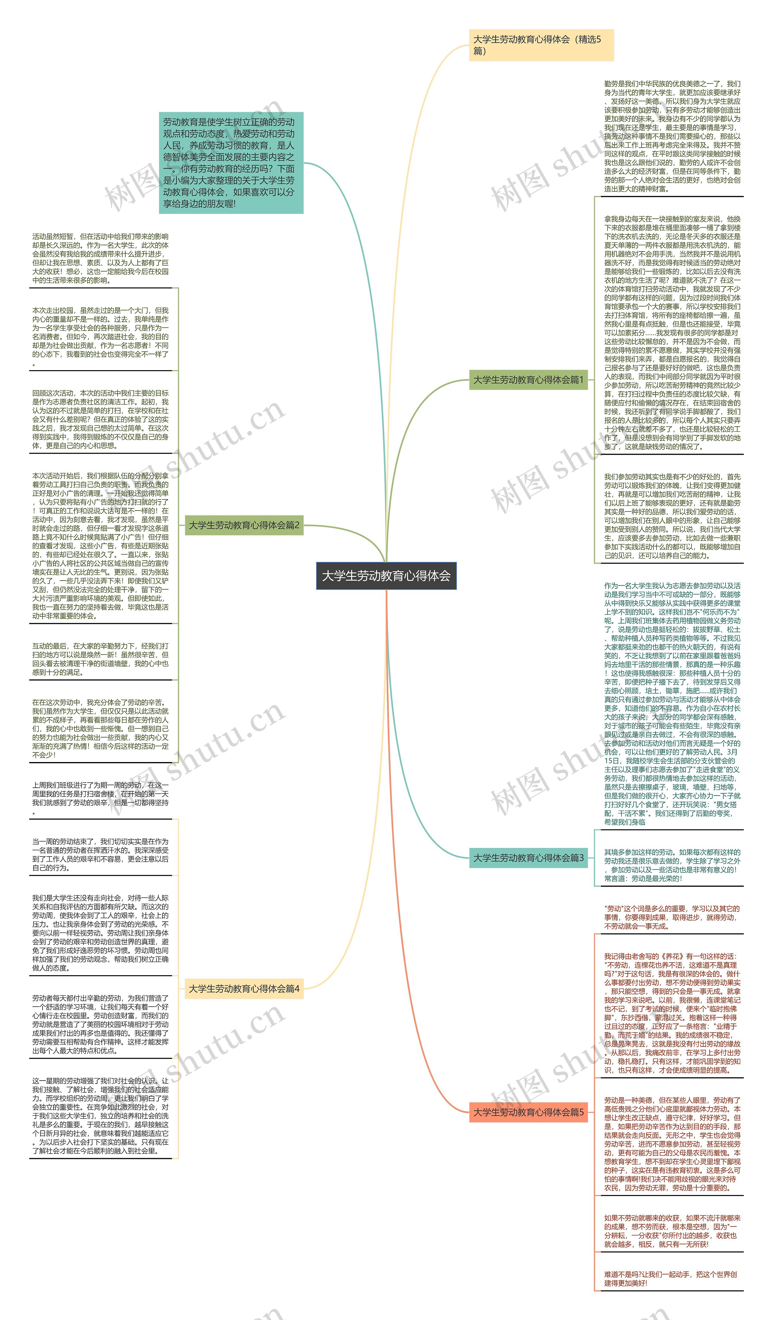 大学生劳动教育心得体会思维导图