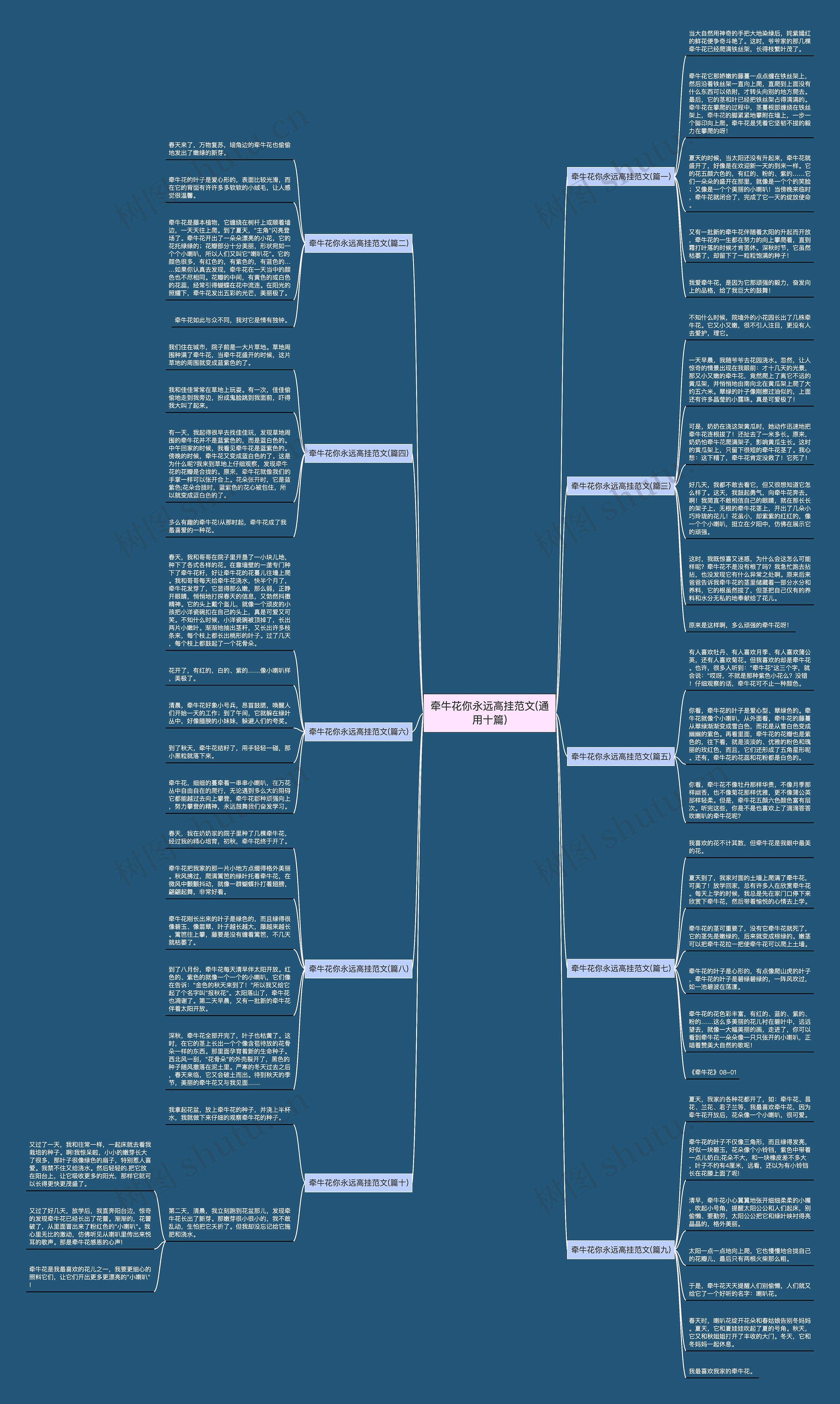 牵牛花你永远高挂范文(通用十篇)思维导图