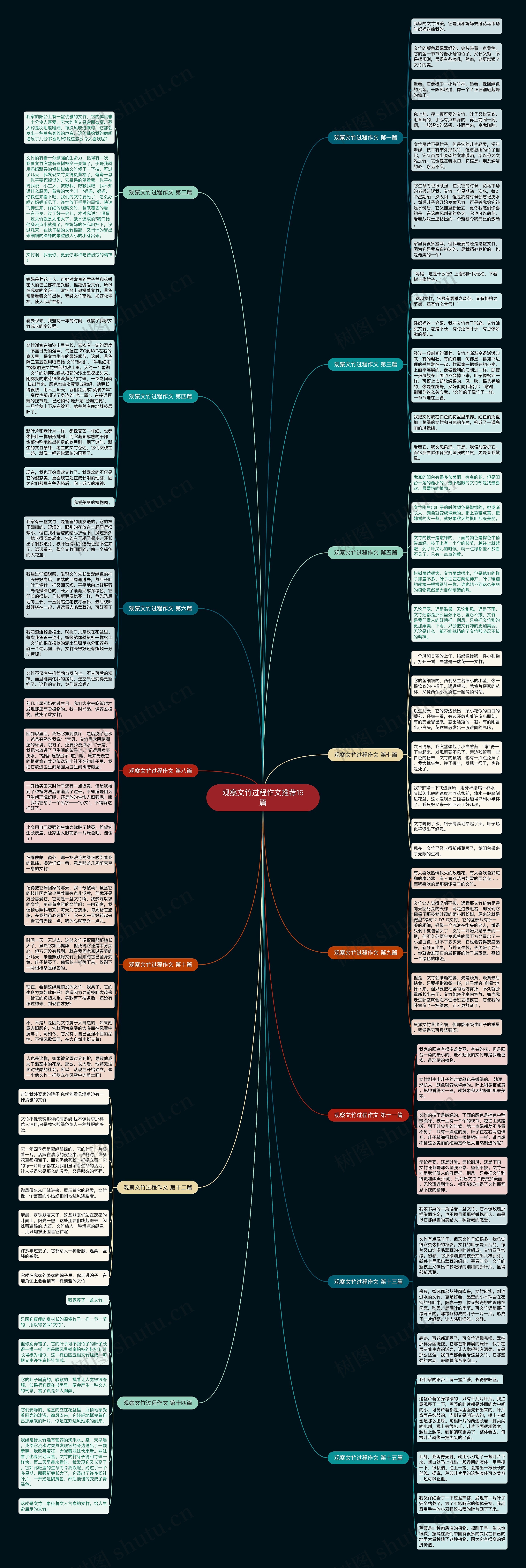 观察文竹过程作文推荐15篇思维导图