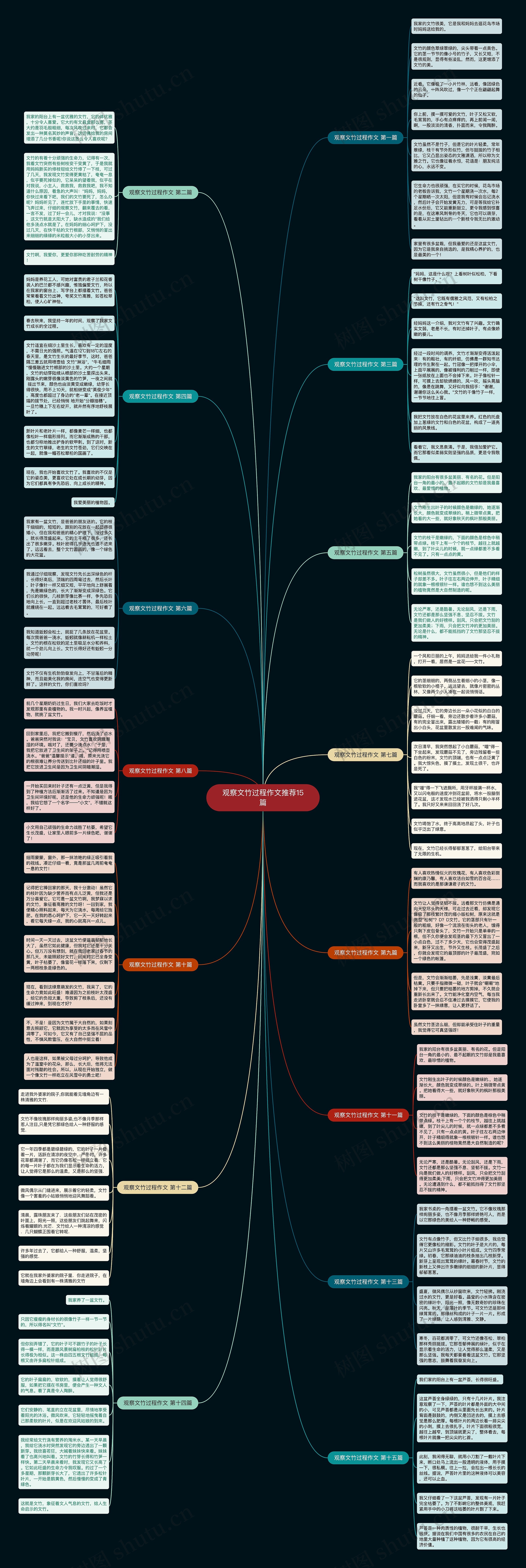 观察文竹过程作文推荐15篇 观察文竹过程作文推荐15篇