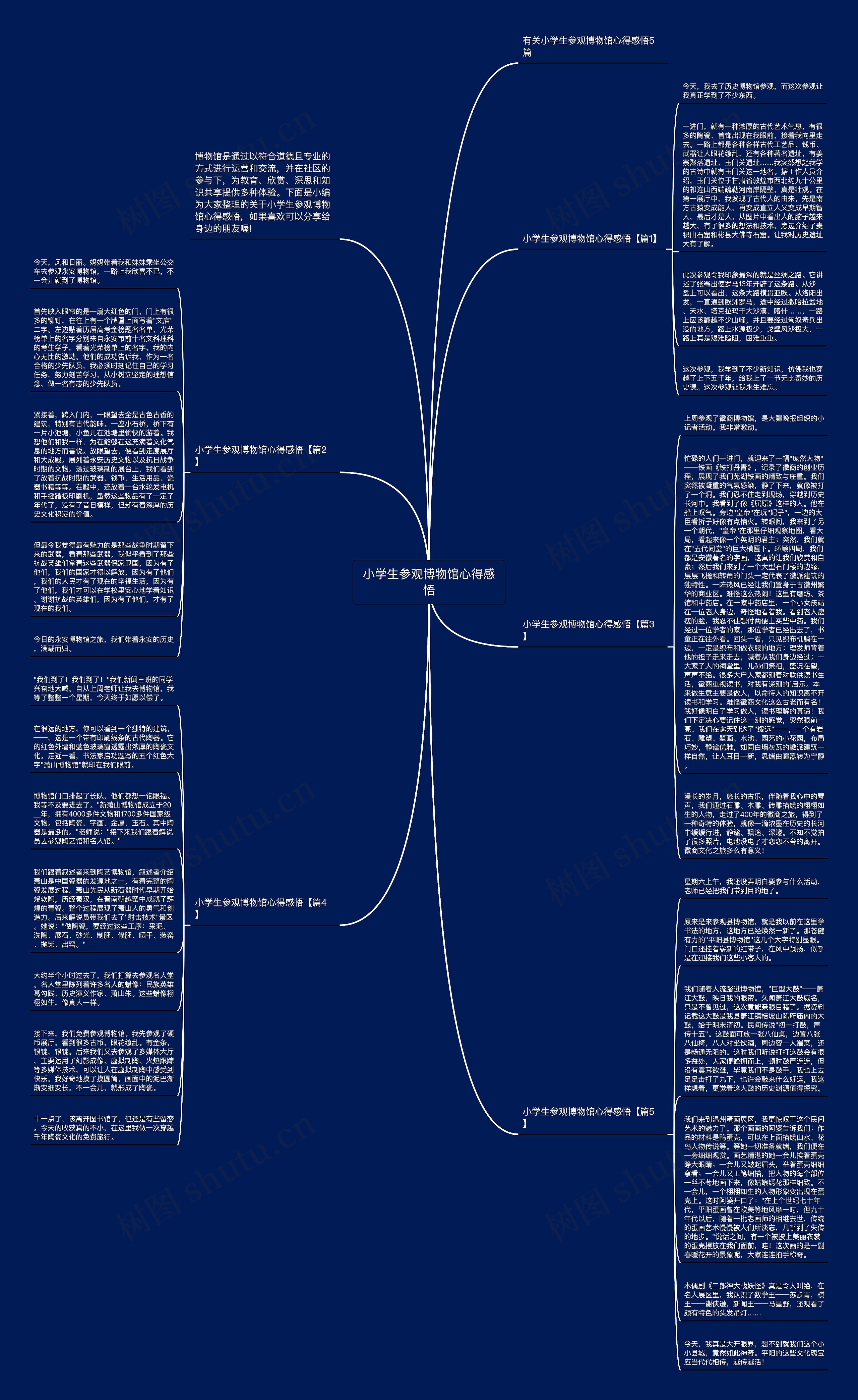 小学生参观博物馆心得感悟思维导图