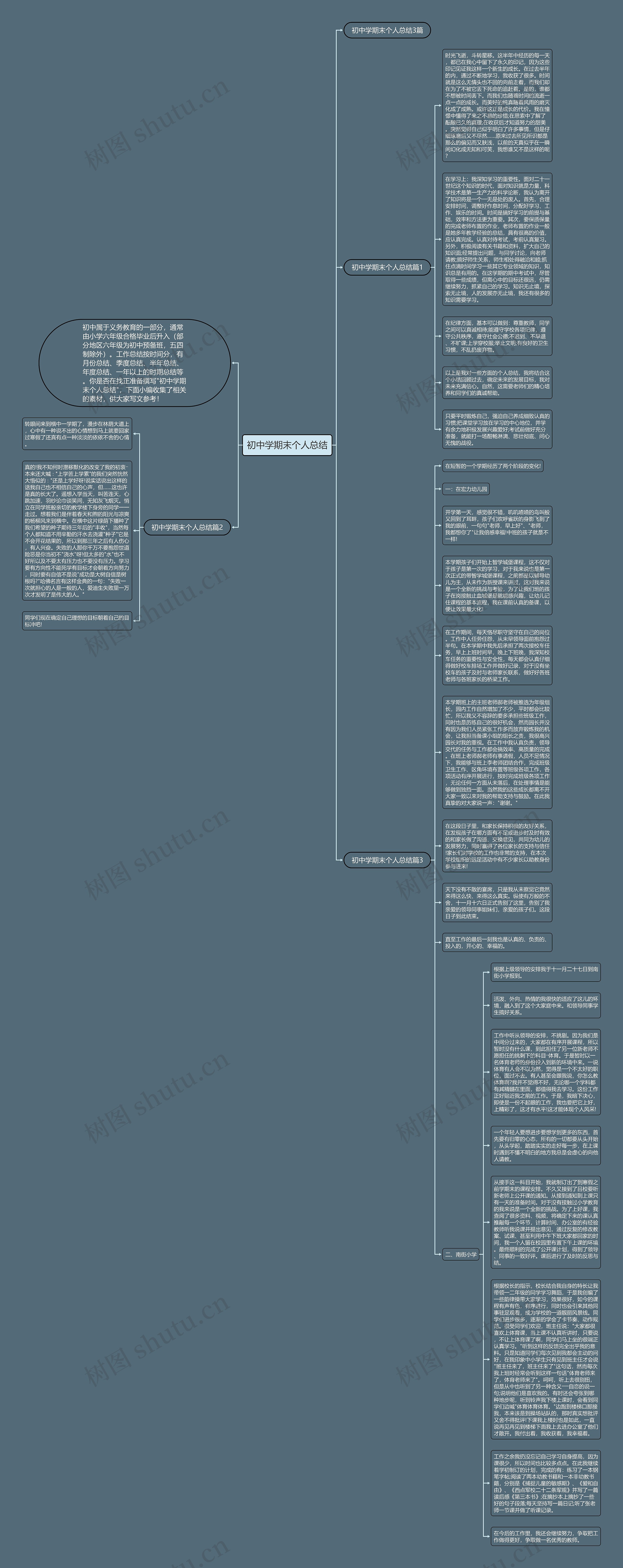 初中学期末个人总结思维导图