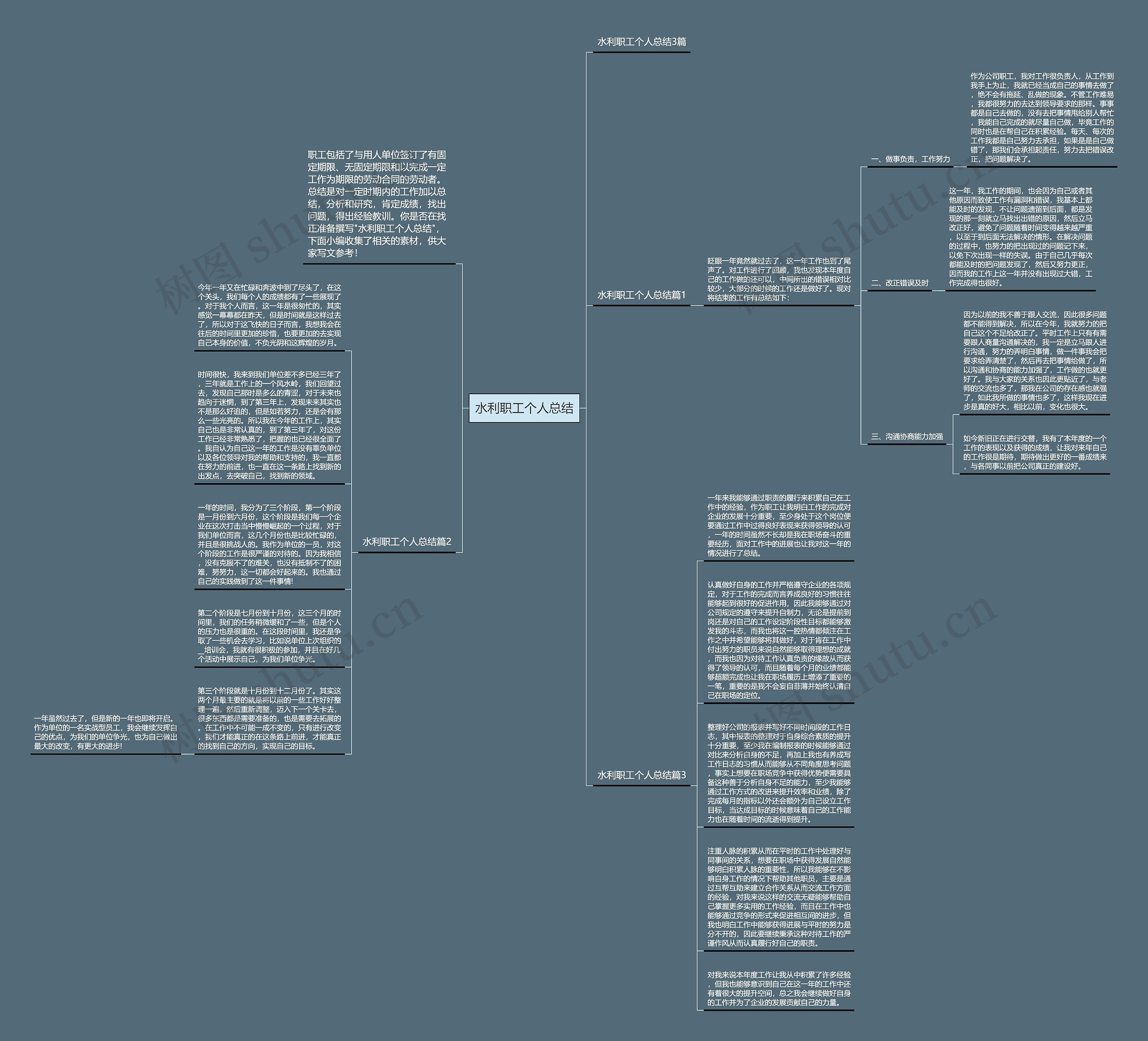 水利职工个人总结思维导图