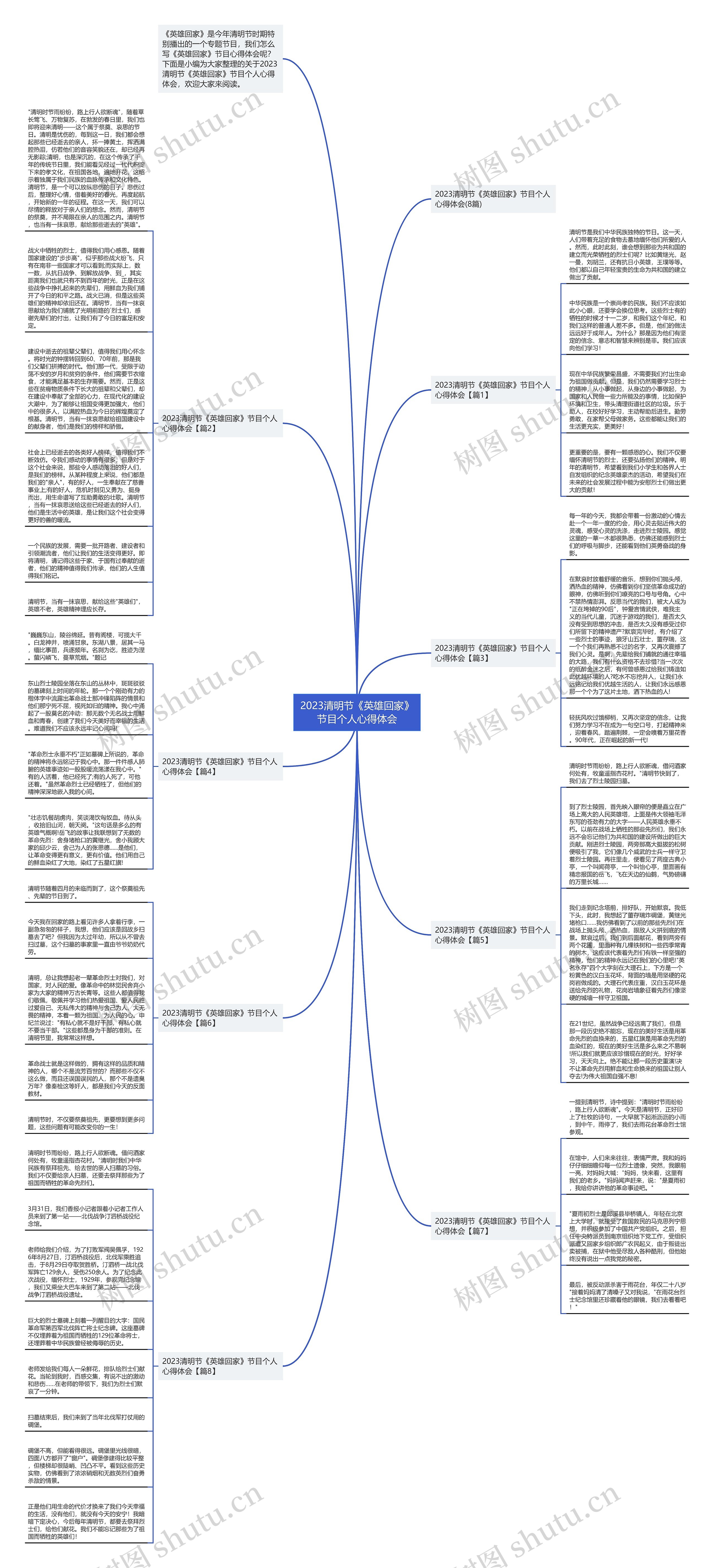 2023清明节《英雄回家》节目个人心得体会思维导图