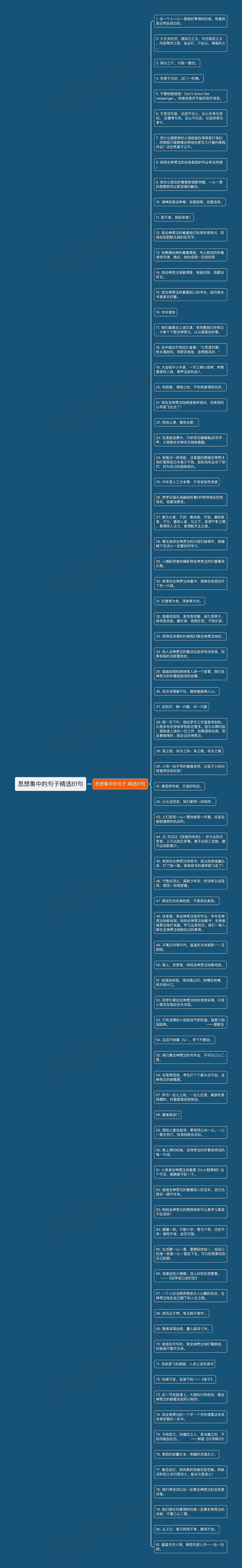 思想集中的句子精选81句