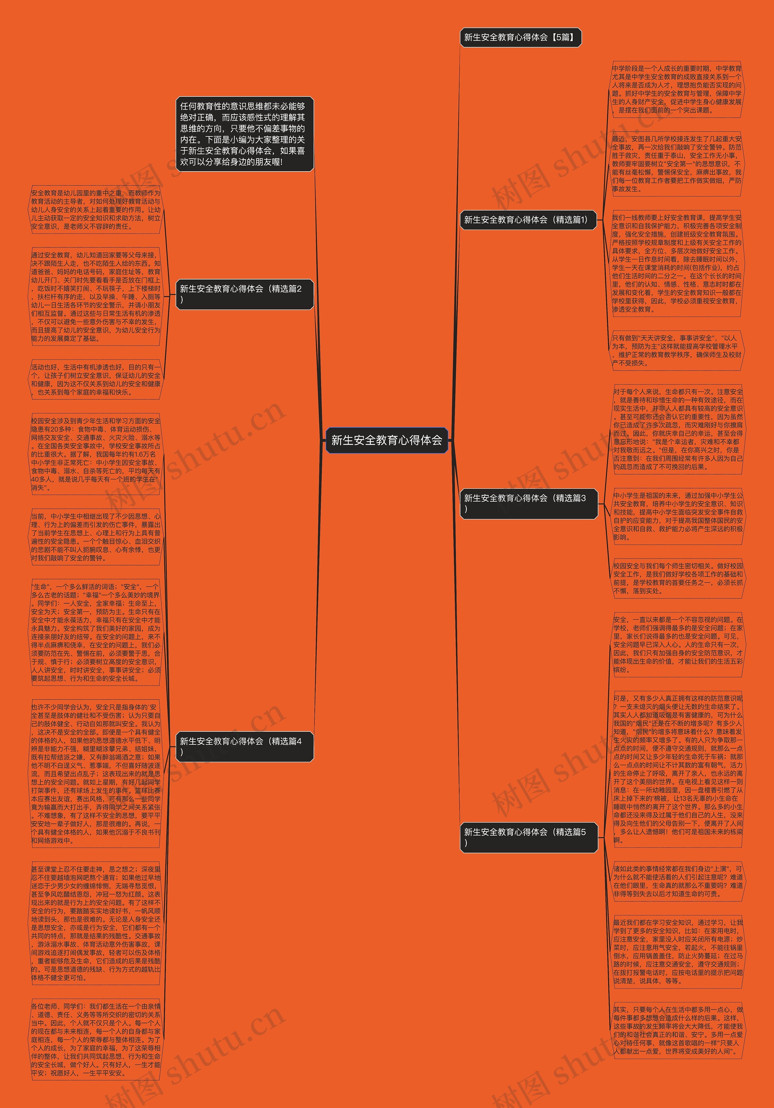 新生安全教育心得体会思维导图