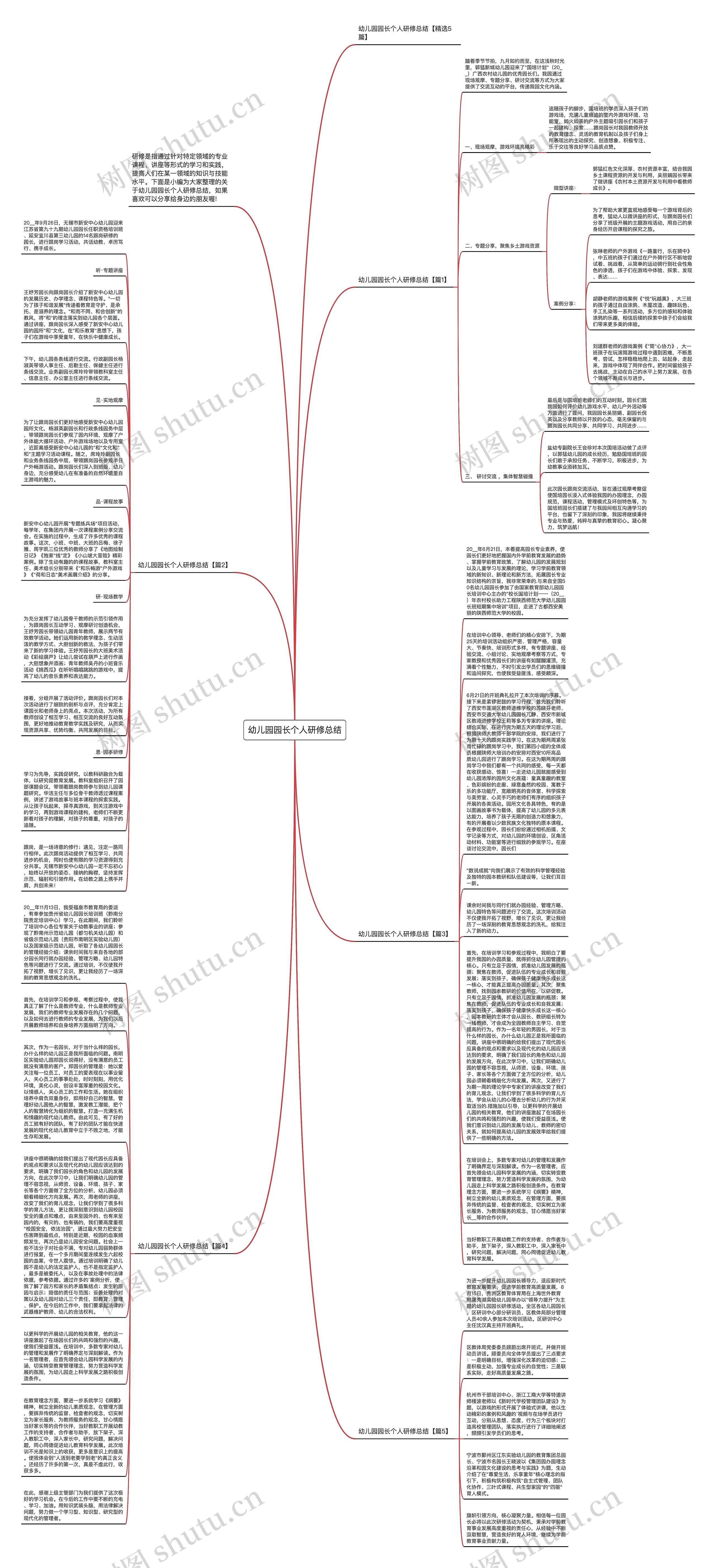 幼儿园园长个人研修总结思维导图