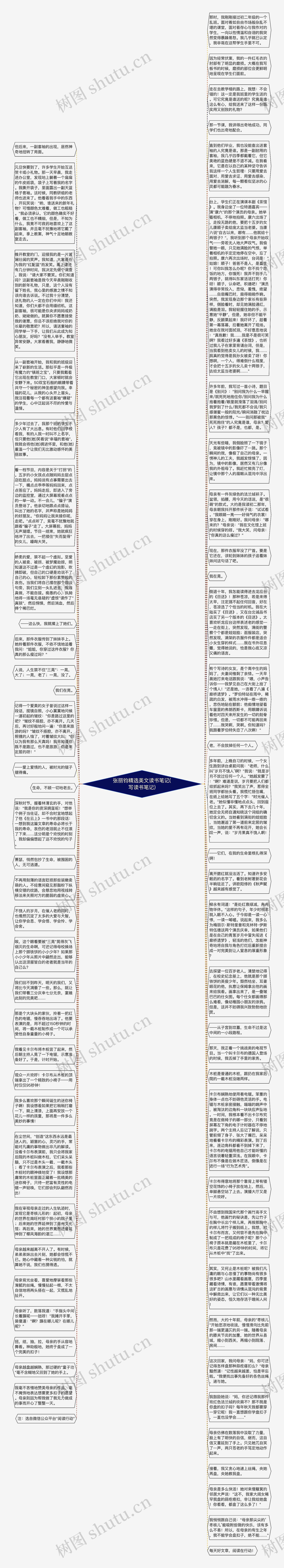 张丽钧精选美文读书笔记(写读书笔记)思维导图