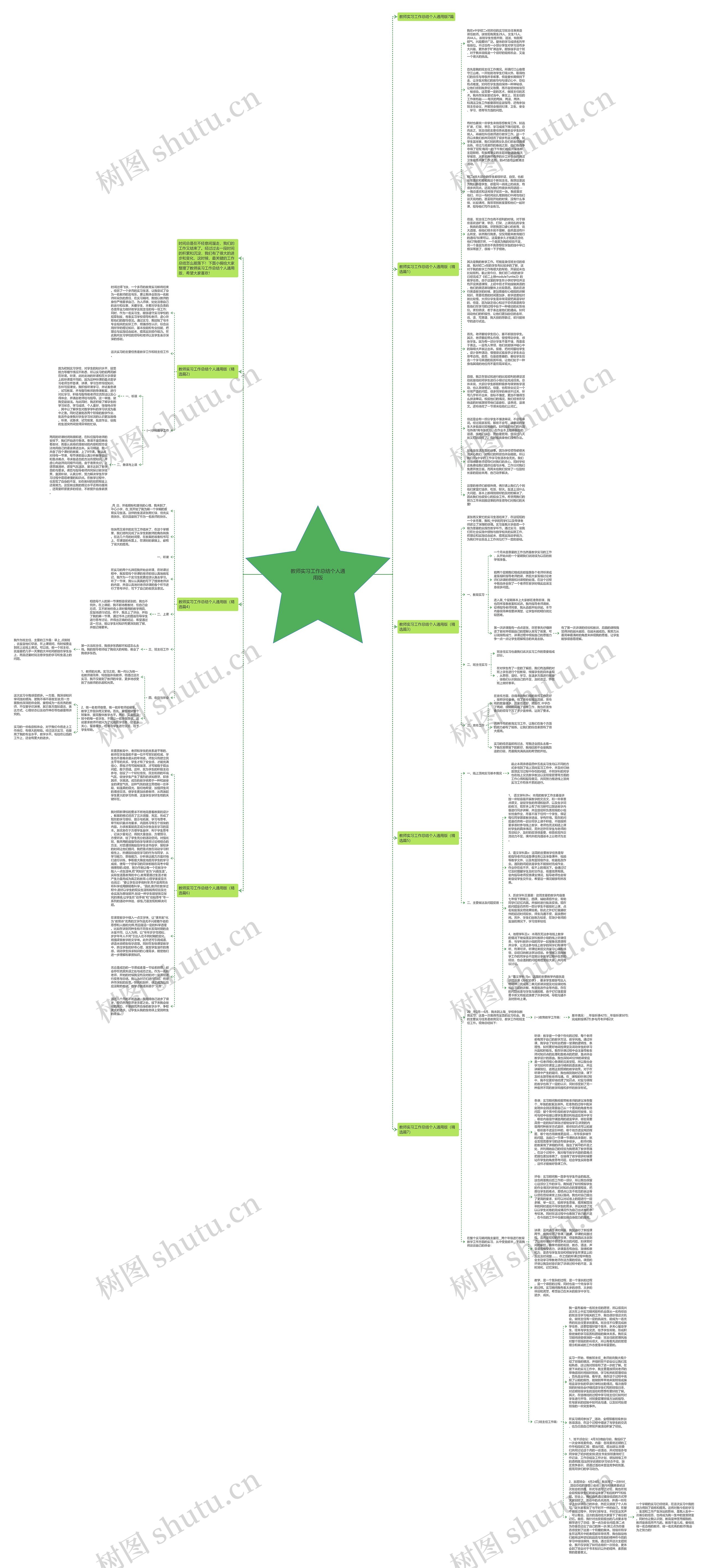 教师实习工作总结个人通用版思维导图