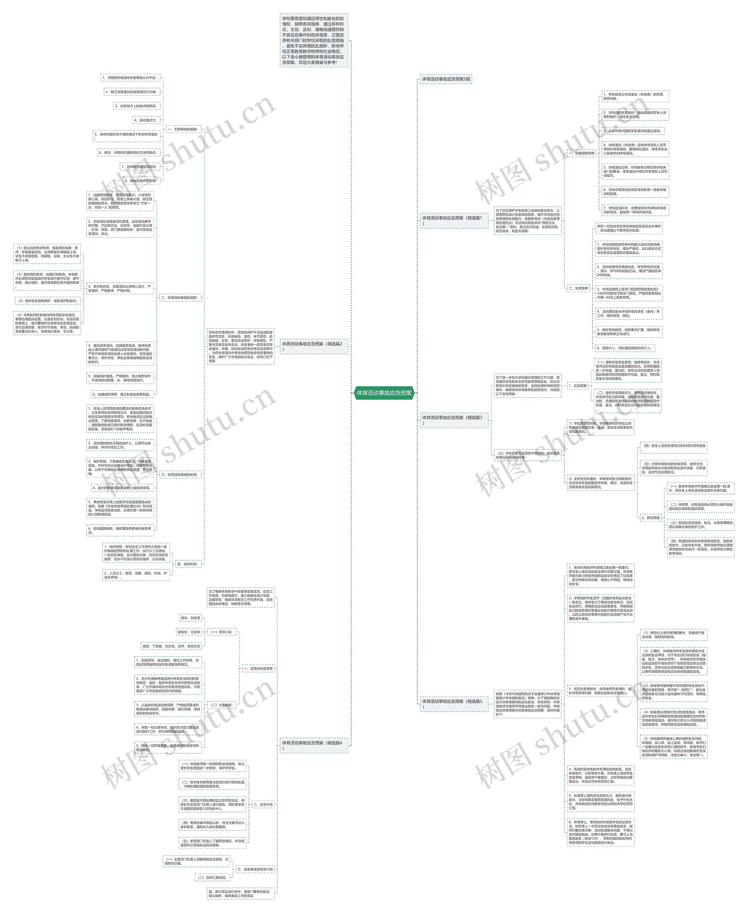 体育活动事故应急预案思维导图