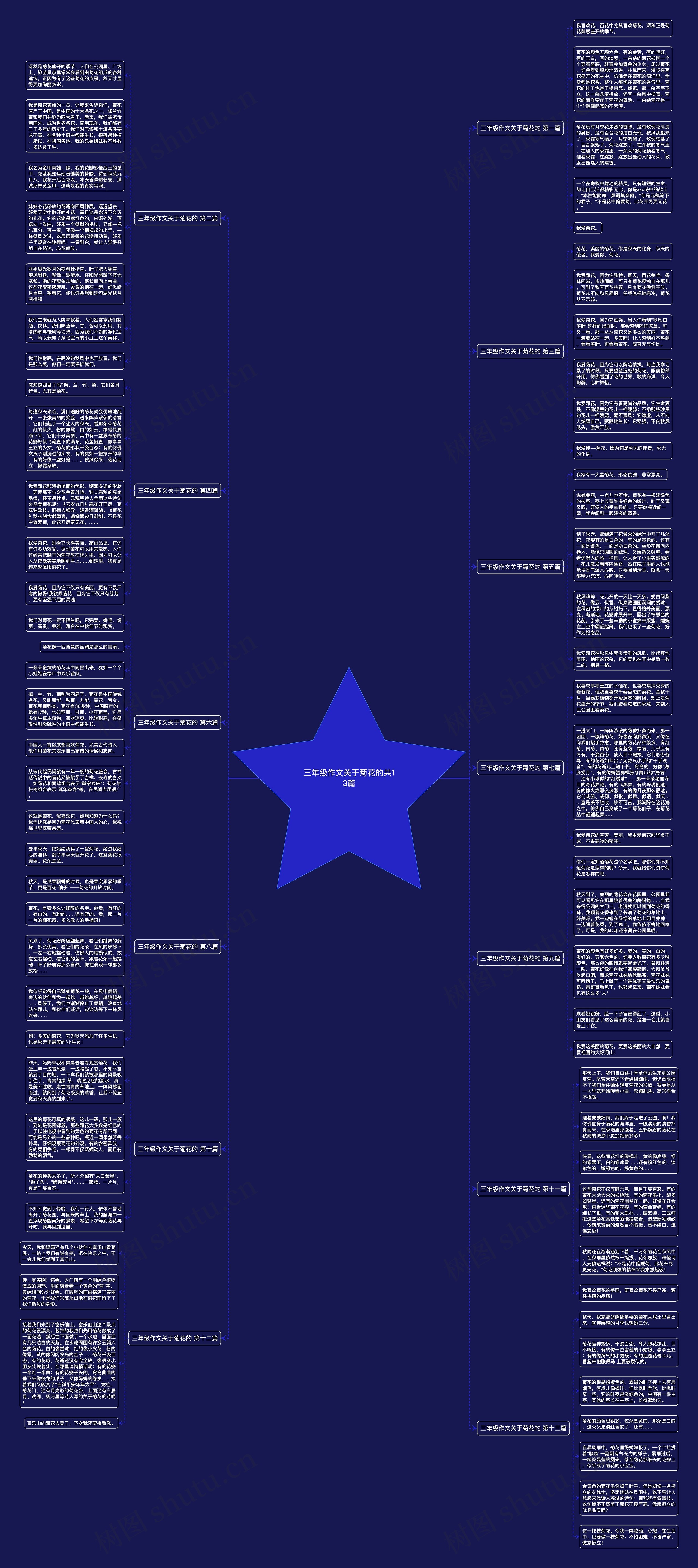 三年级作文关于菊花的共13篇思维导图