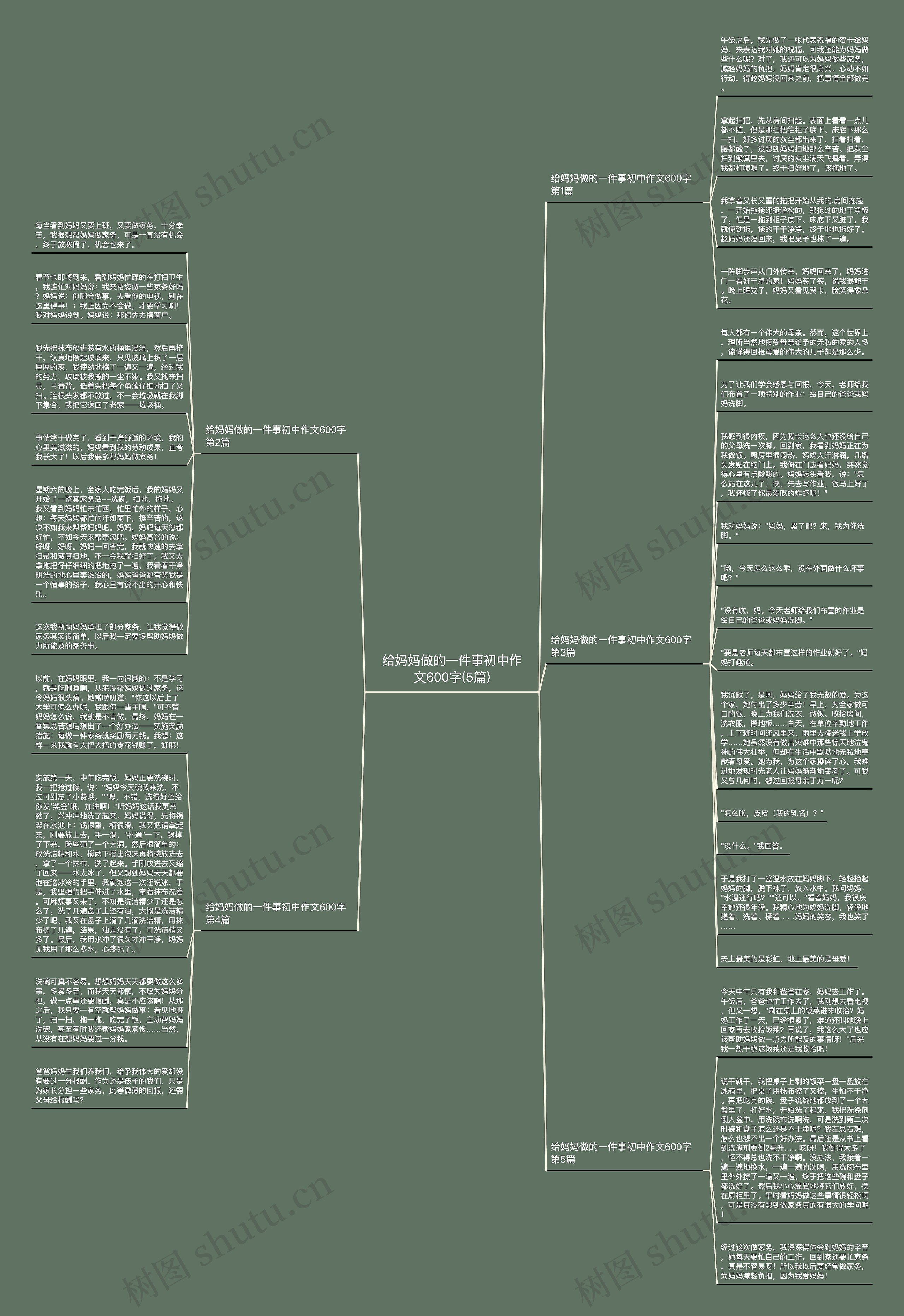 给妈妈做的一件事初中作文600字(5篇)思维导图