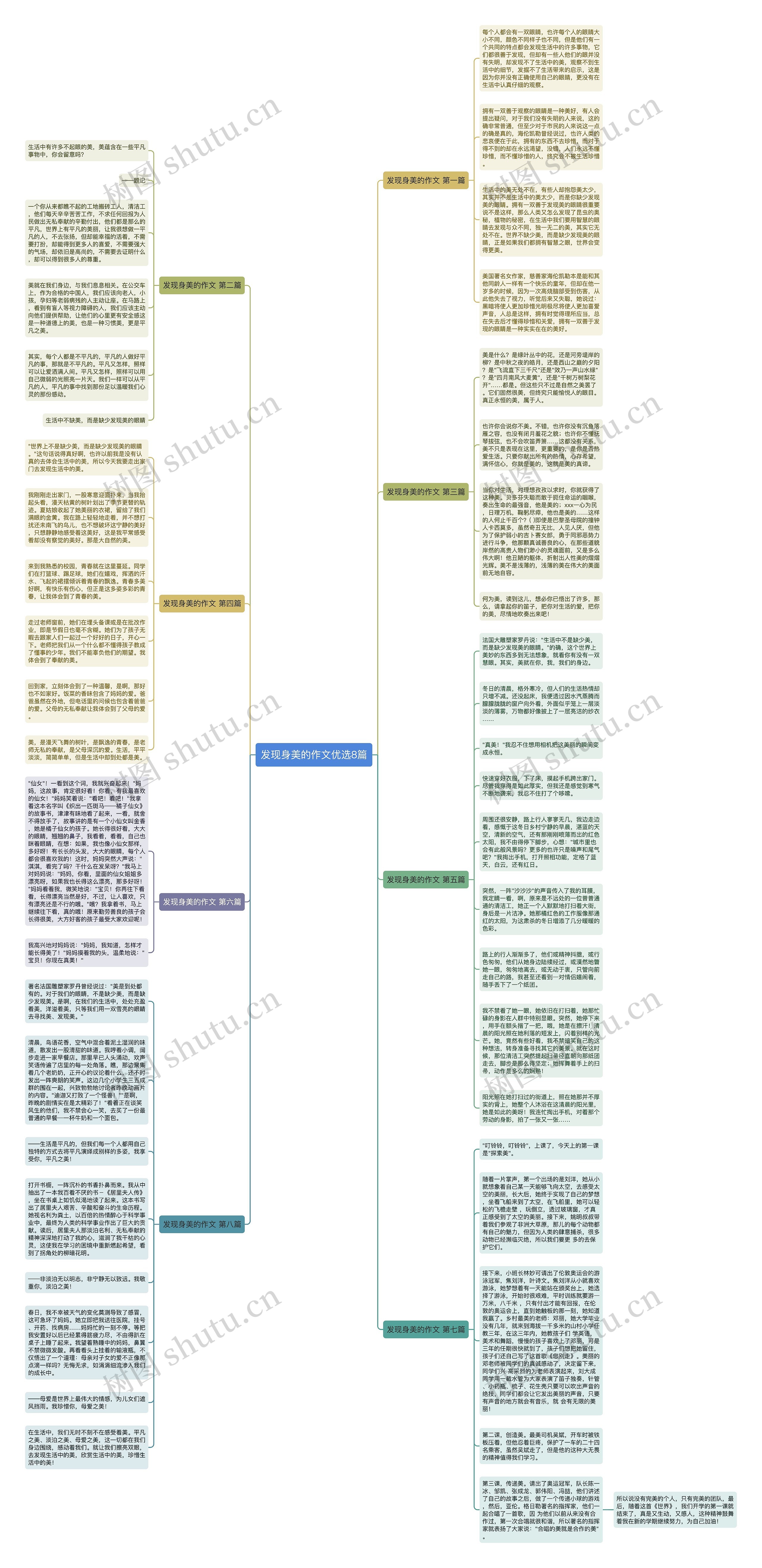 发现身美的作文优选8篇思维导图