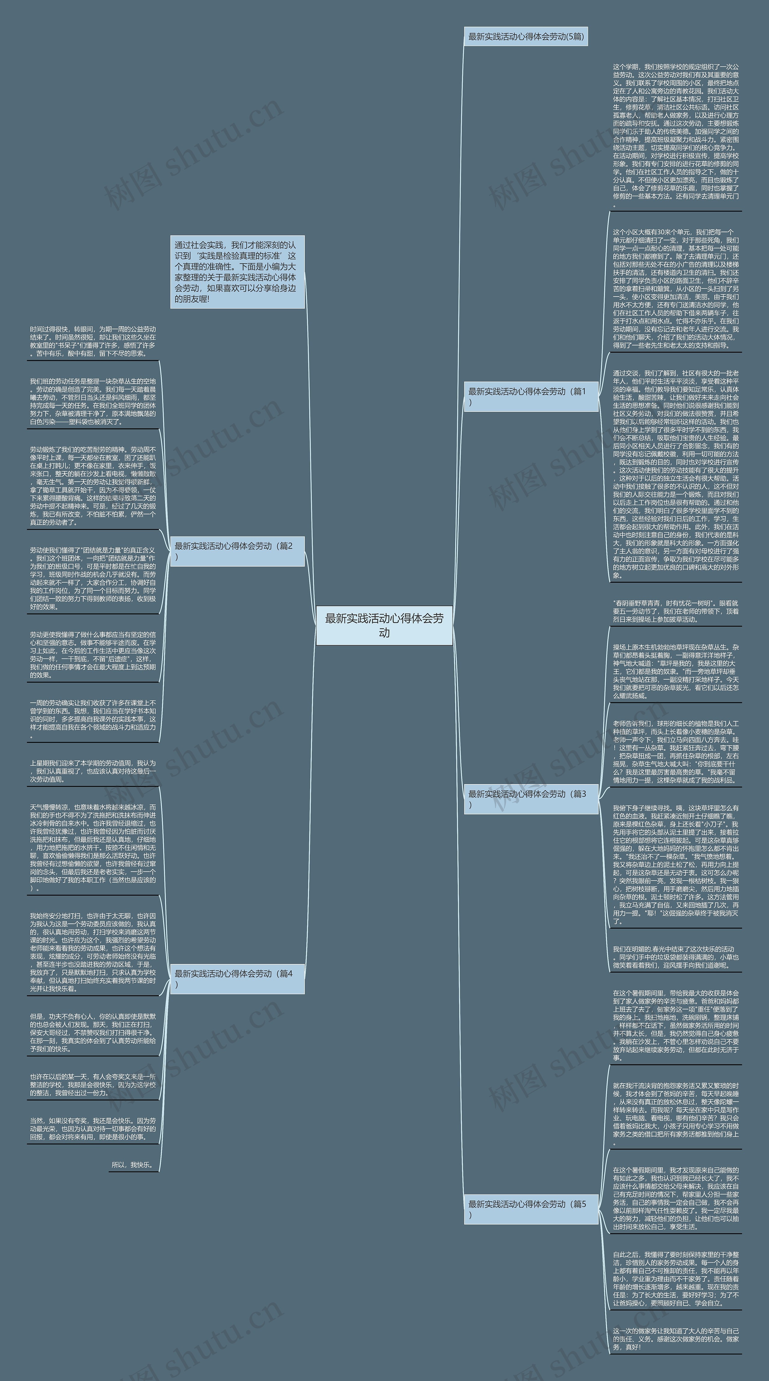 最新实践活动心得体会劳动思维导图