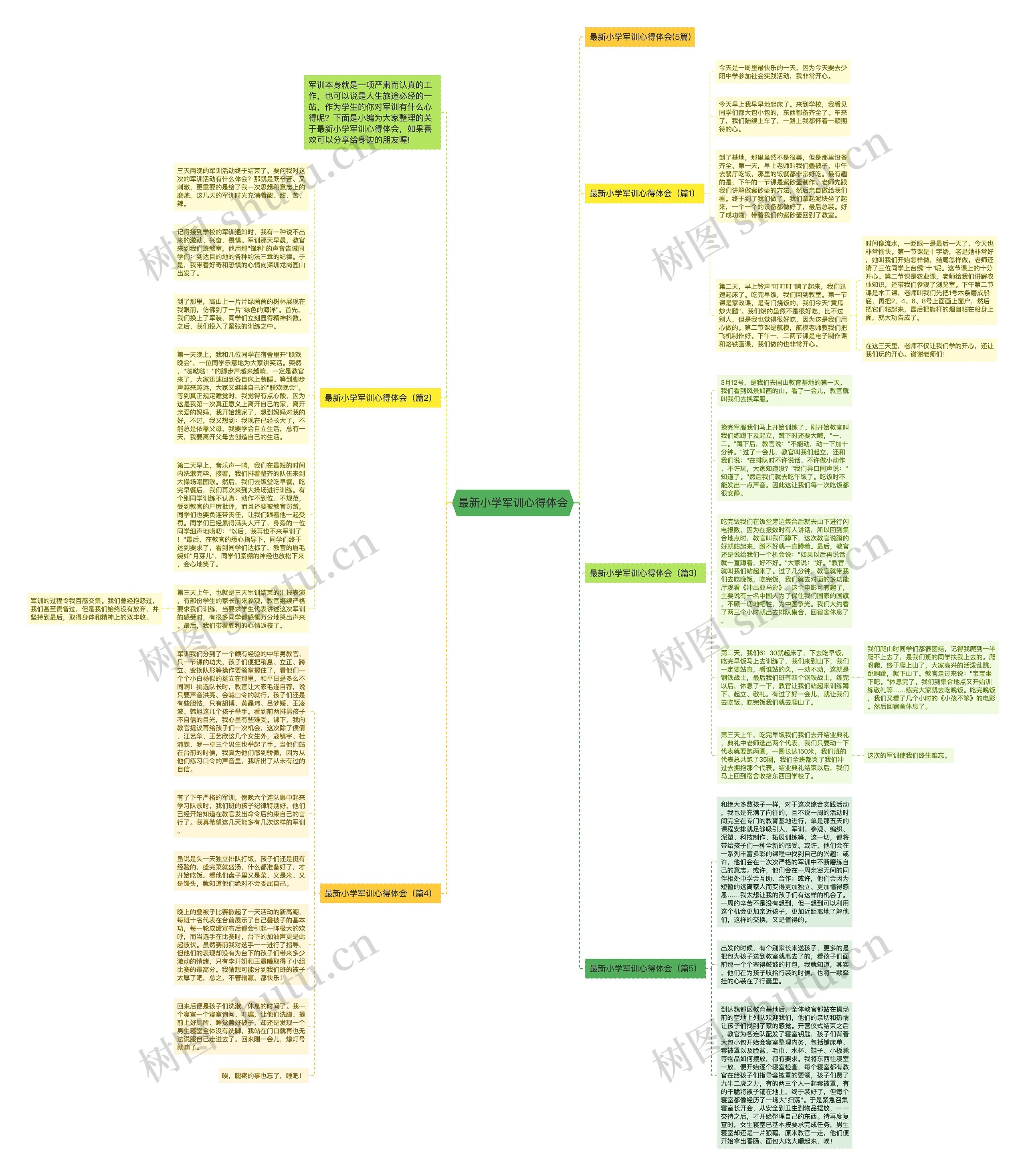 最新小学军训心得体会思维导图