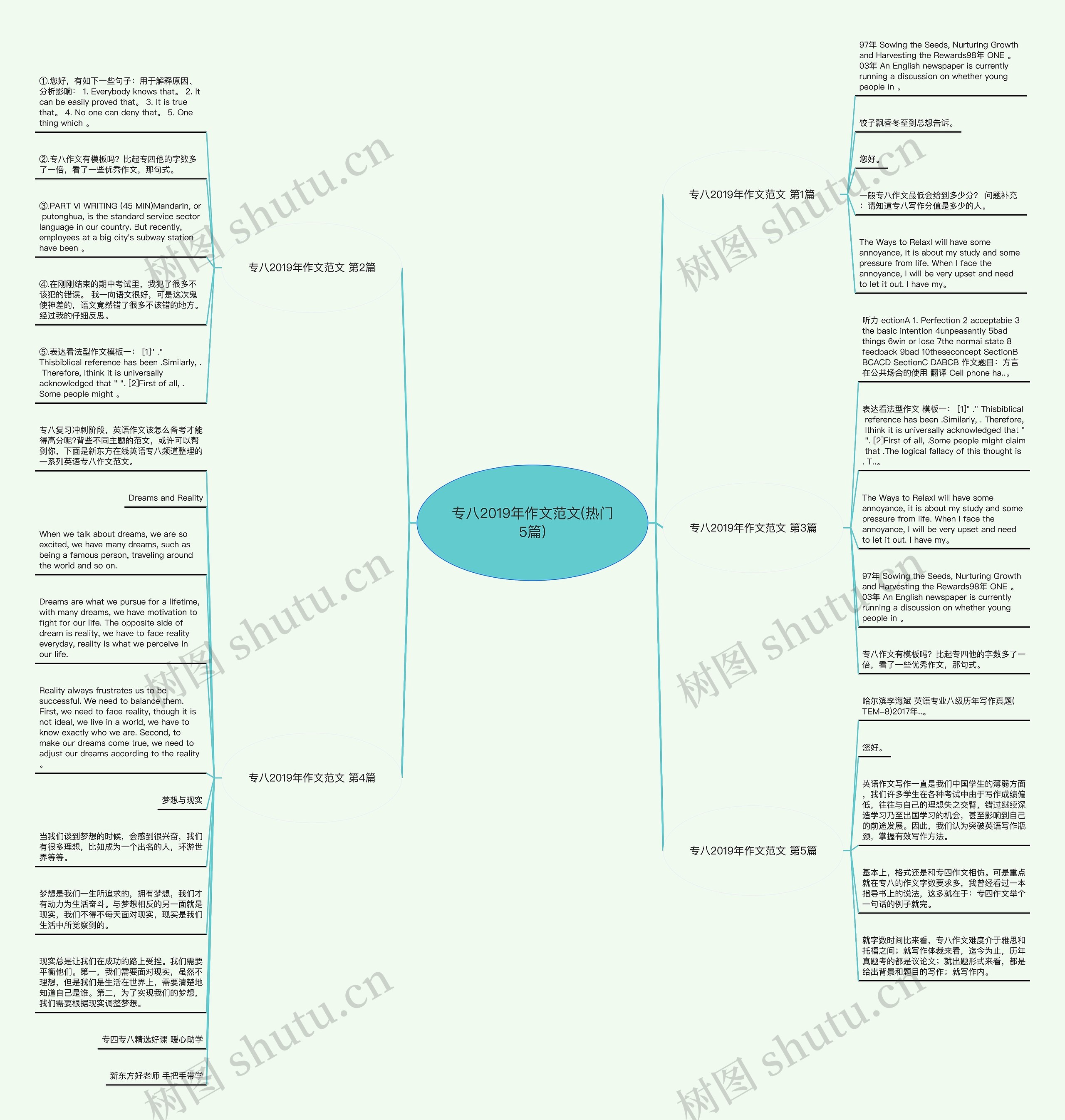 专八2019年作文范文(热门5篇)思维导图
