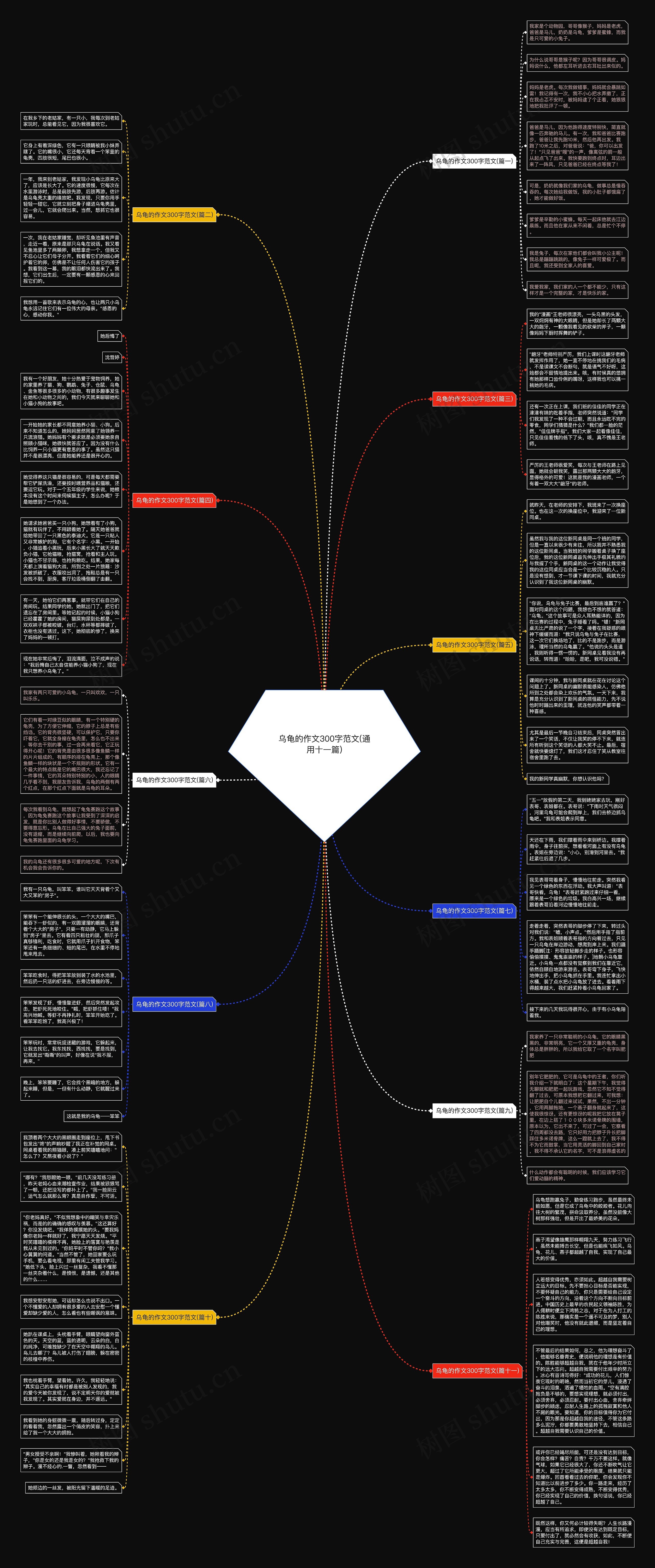 乌龟的作文300字范文(通用十一篇)思维导图
