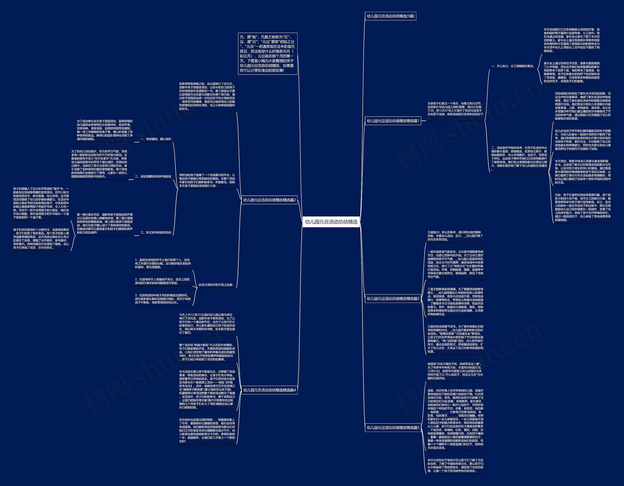 幼儿园元旦活动总结精选思维导图