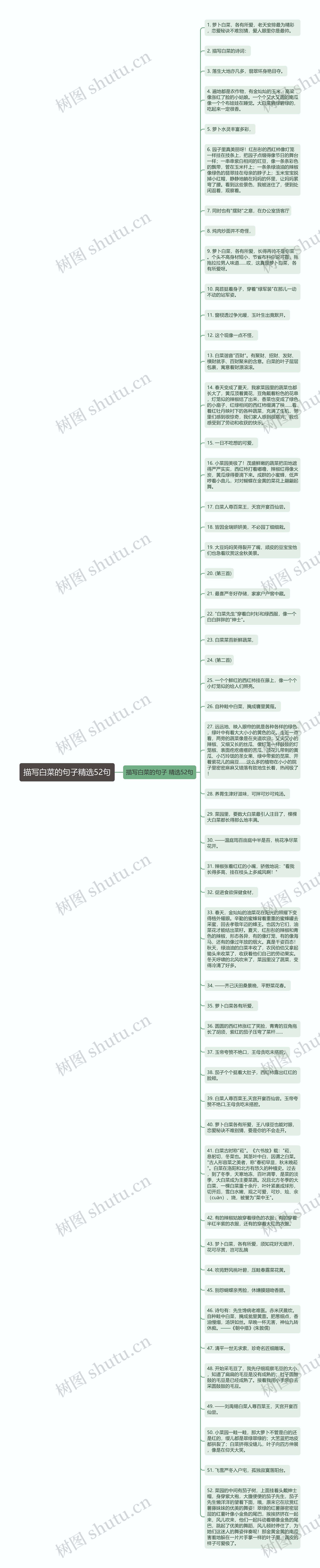 描写白菜的句子精选52句思维导图高清图 描写白菜的句子精选52句思维导图
