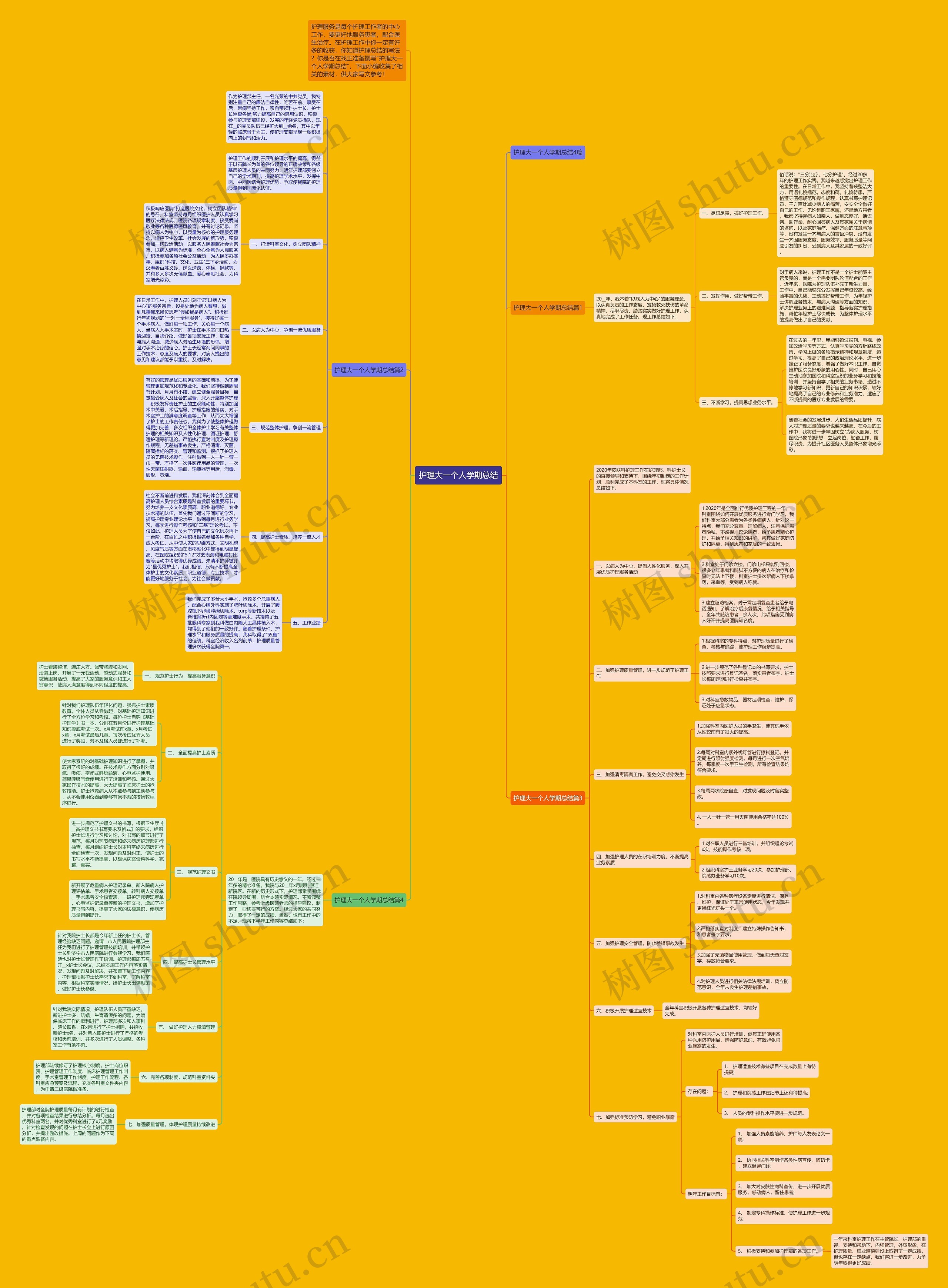 护理大一个人学期总结思维导图