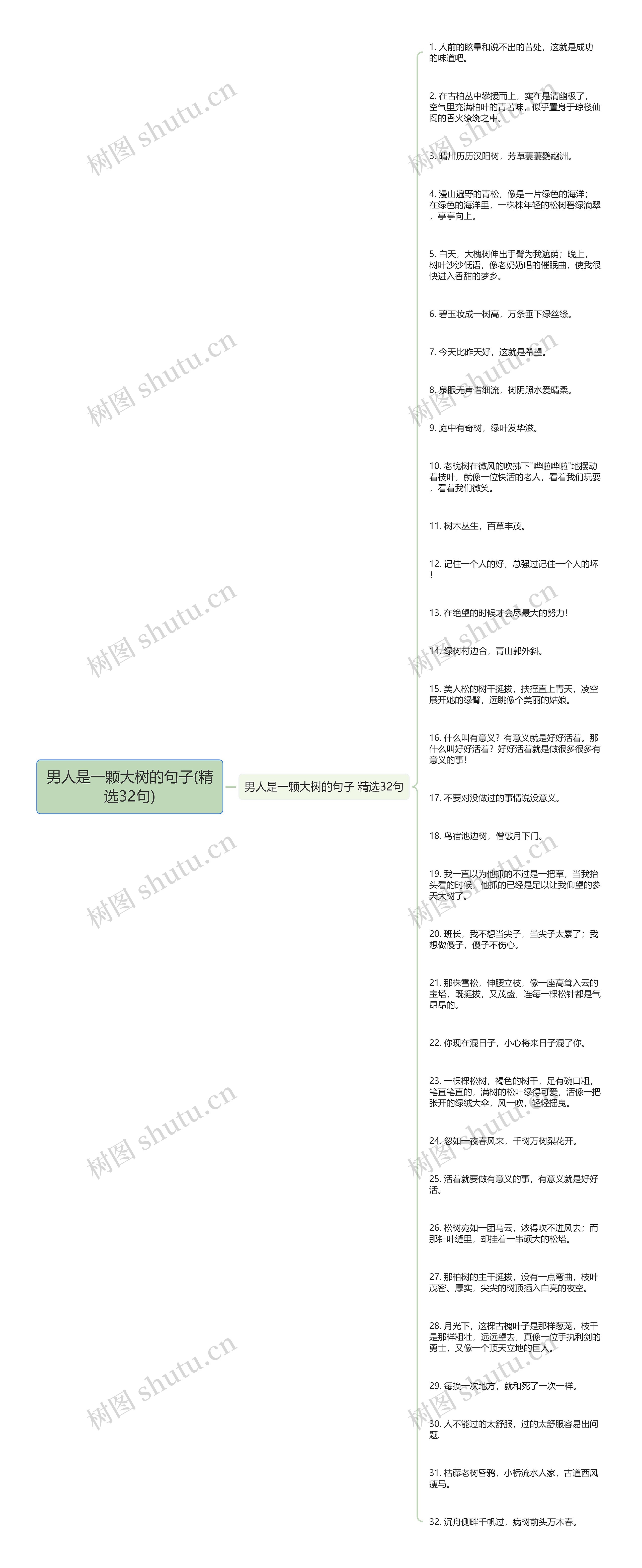 男人是一颗大树的句子(精选32句)思维导图