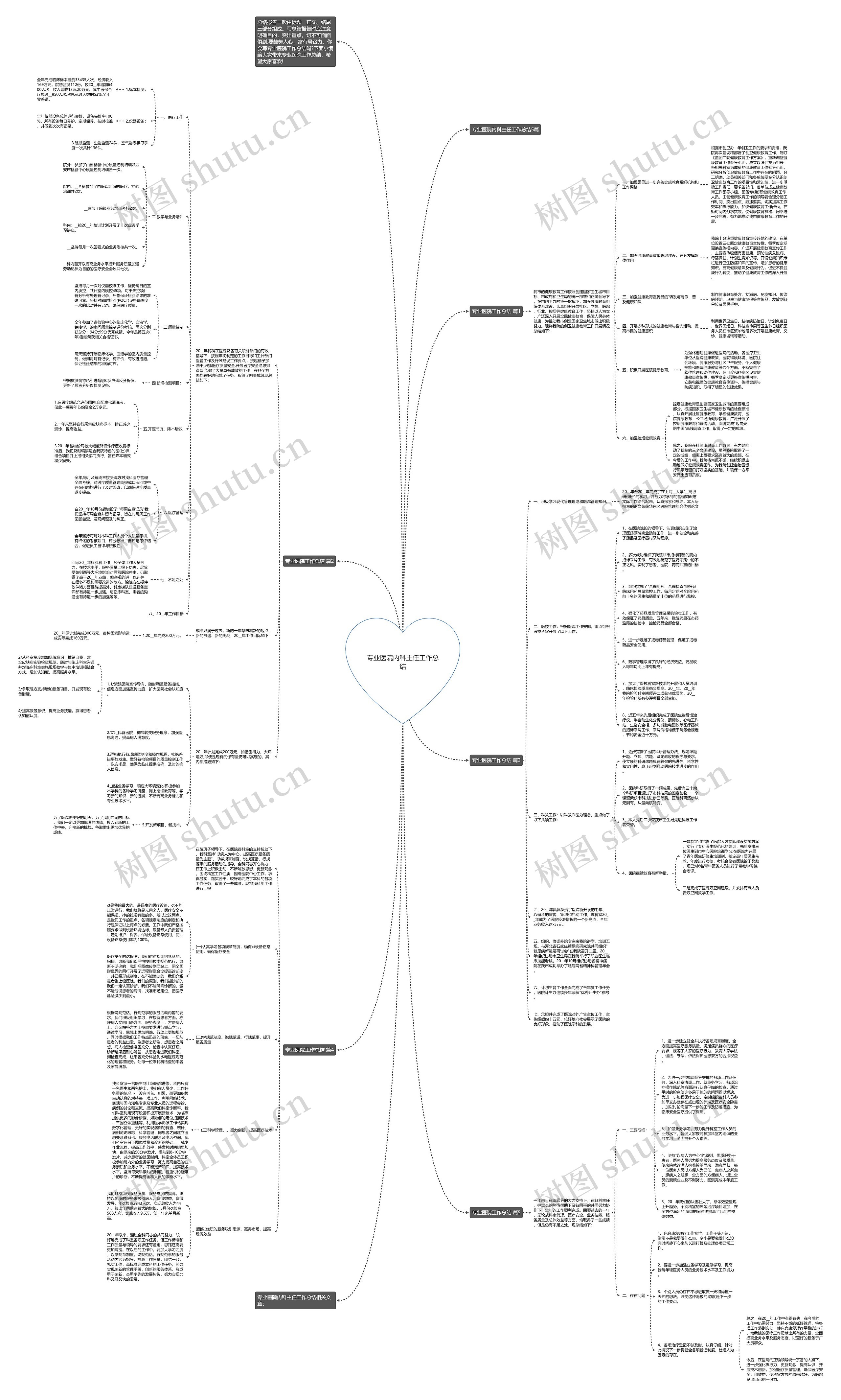 专业医院内科主任工作总结思维导图
