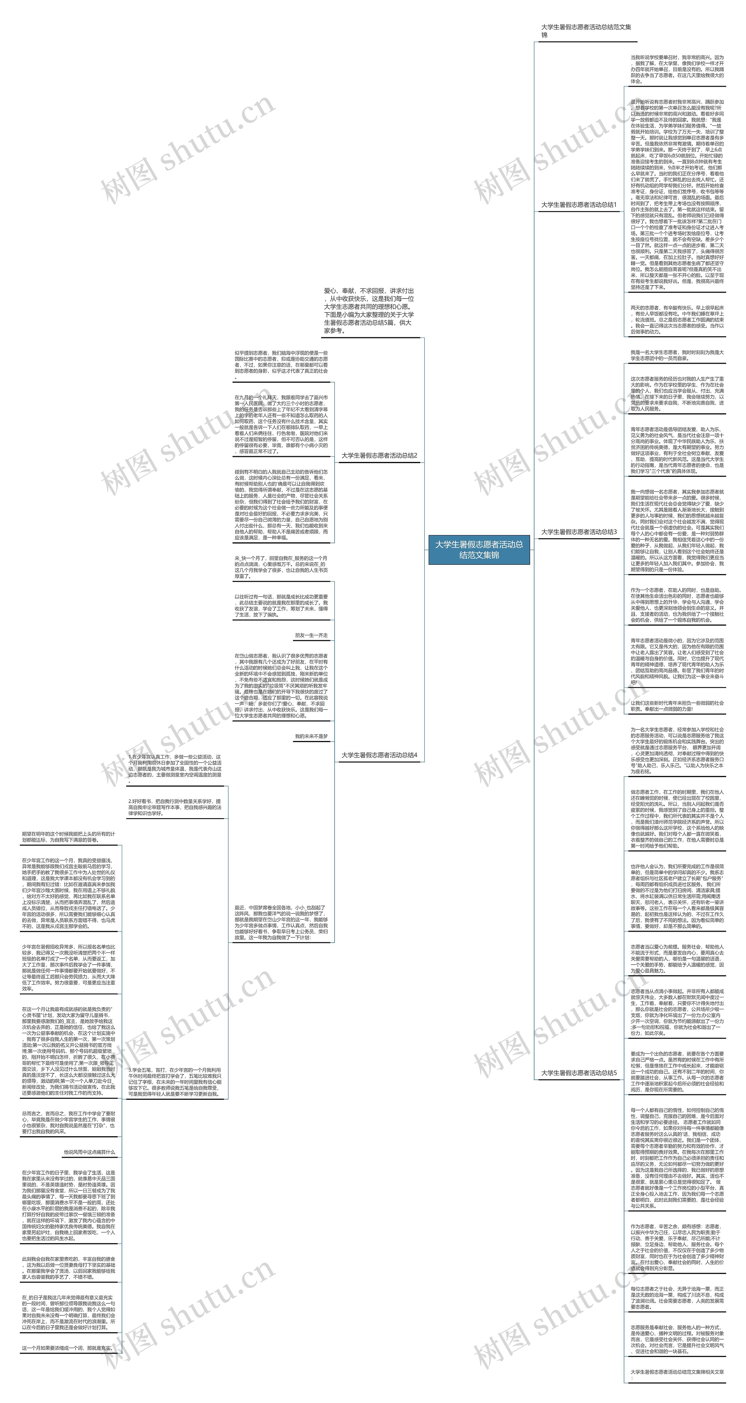 大学生暑假志愿者活动总结范文集锦思维导图
