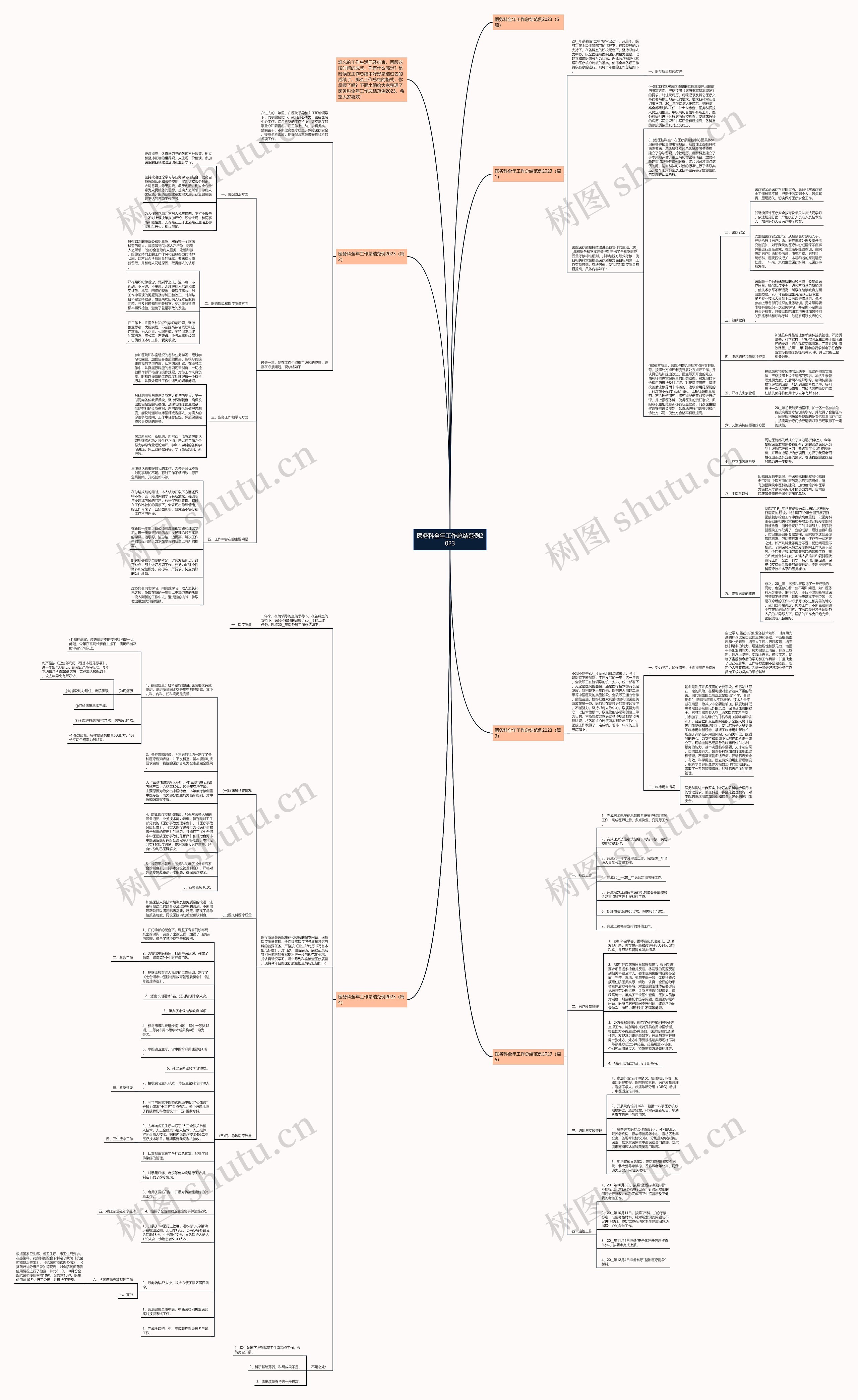 医务科全年工作总结范例2023思维导图