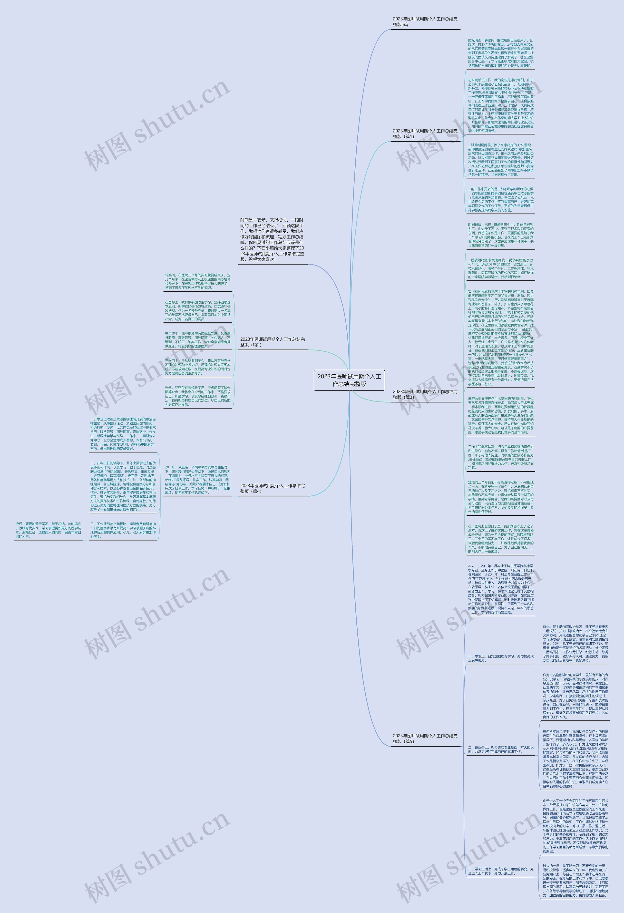 2023年医师试用期个人工作总结完整版思维导图