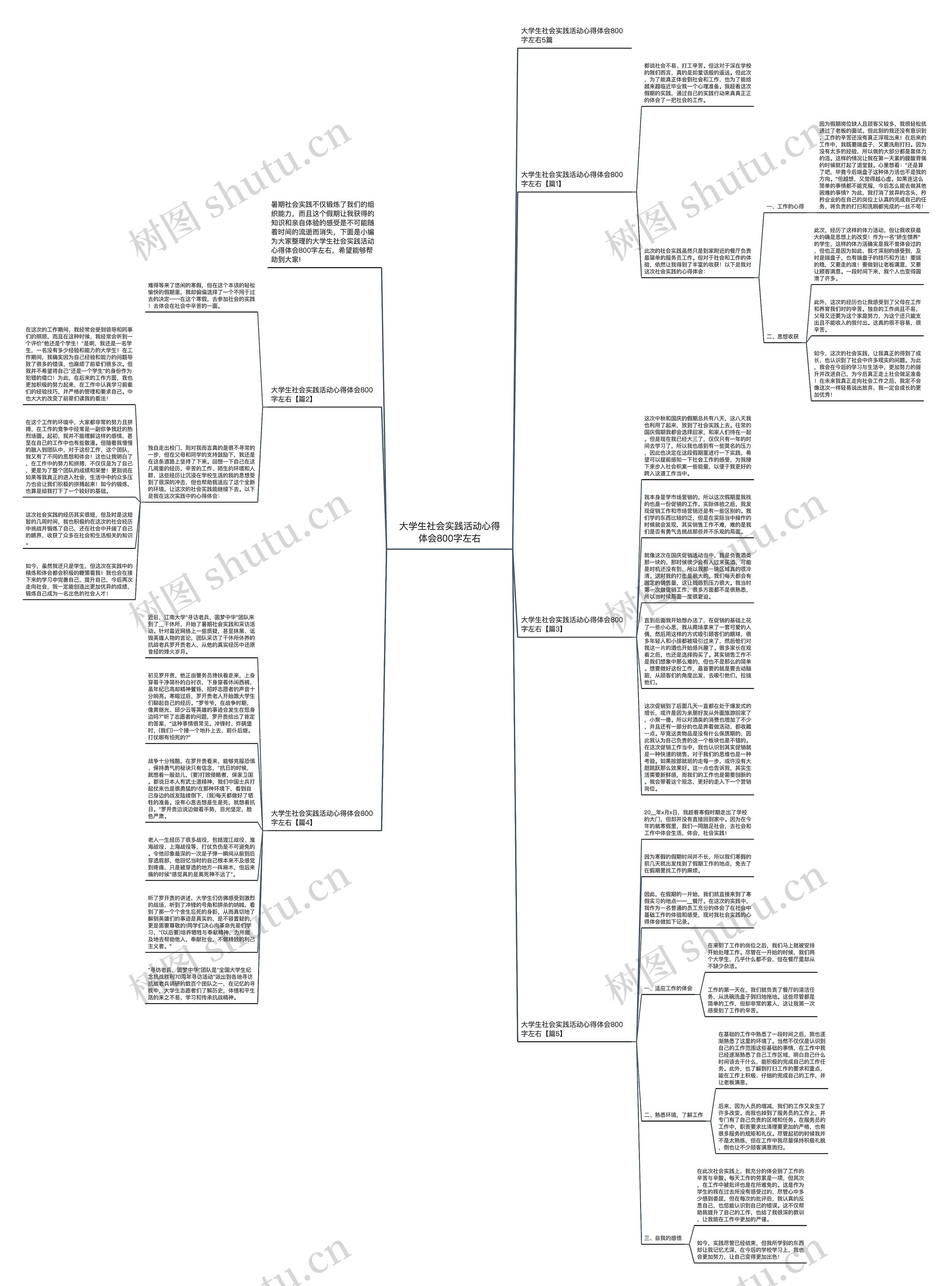 大学生社会实践活动心得体会800字左右思维导图