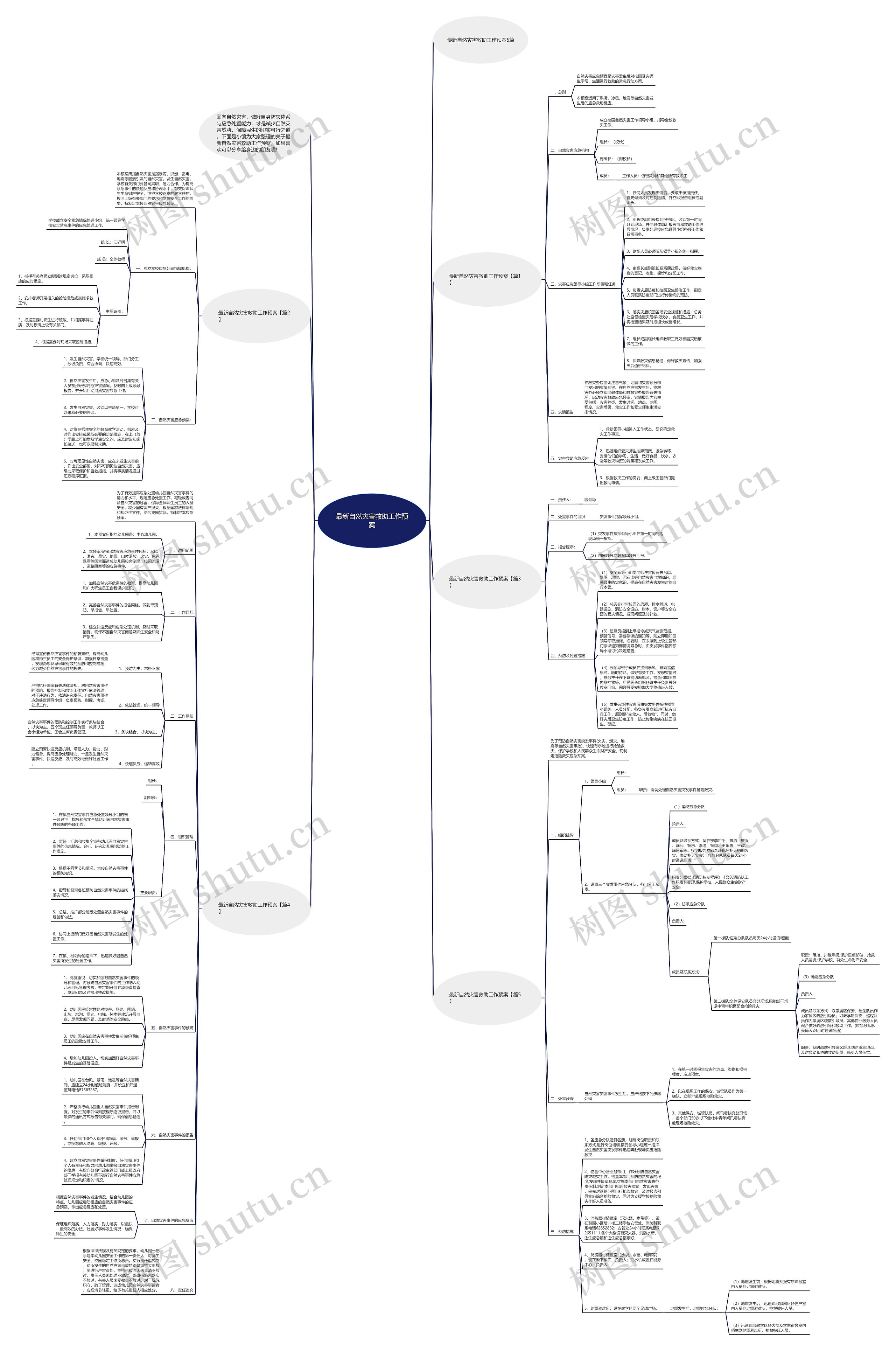 最新自然灾害救助工作预案思维导图