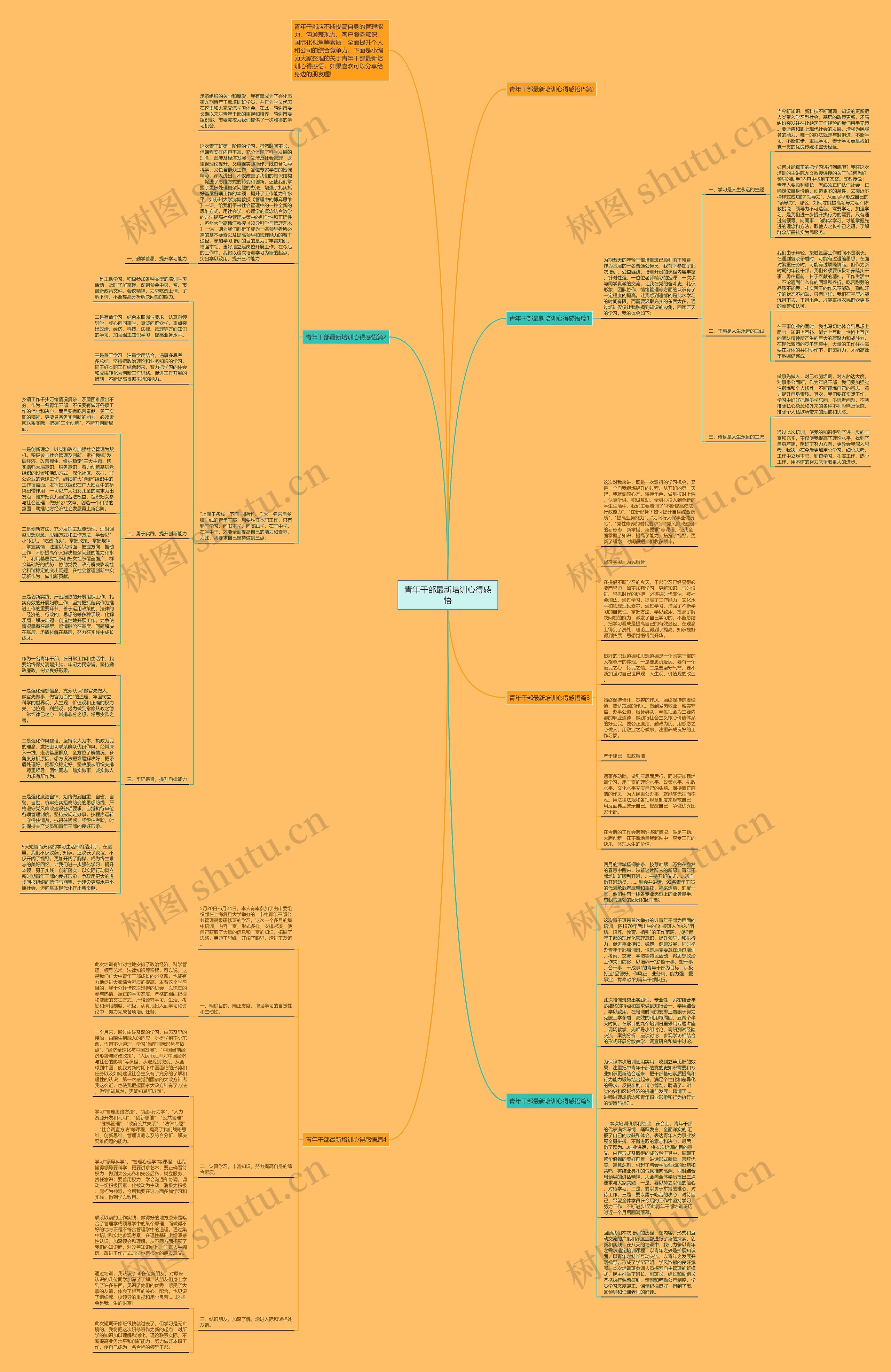 青年干部最新培训心得感悟思维导图
