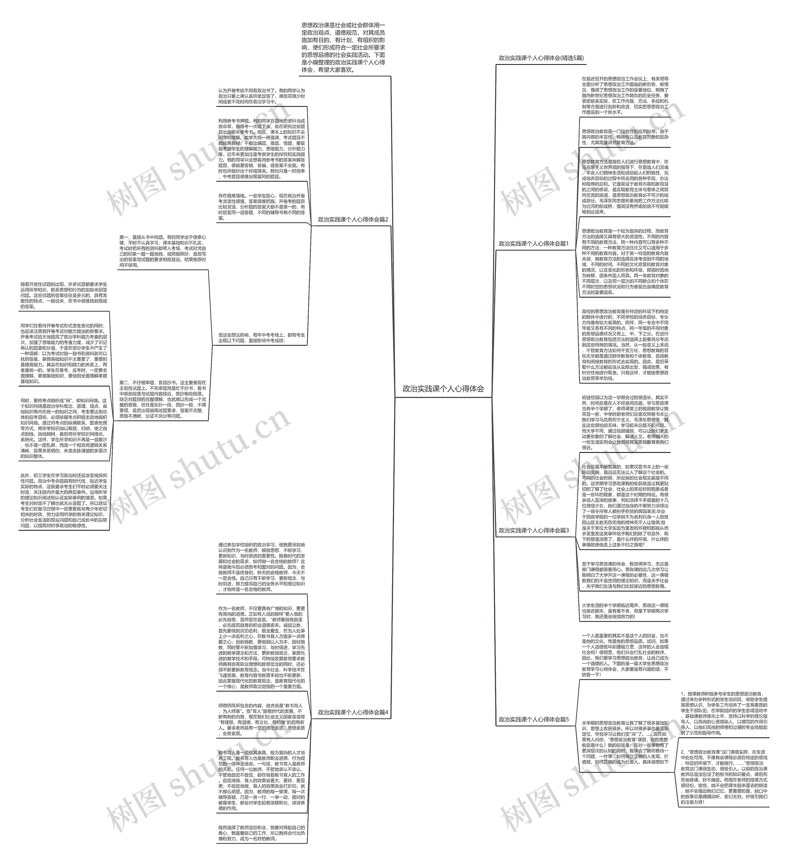 政治实践课个人心得体会思维导图
