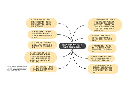 有关青春奋斗的句子(奋斗的青春最美丽句子摘抄)