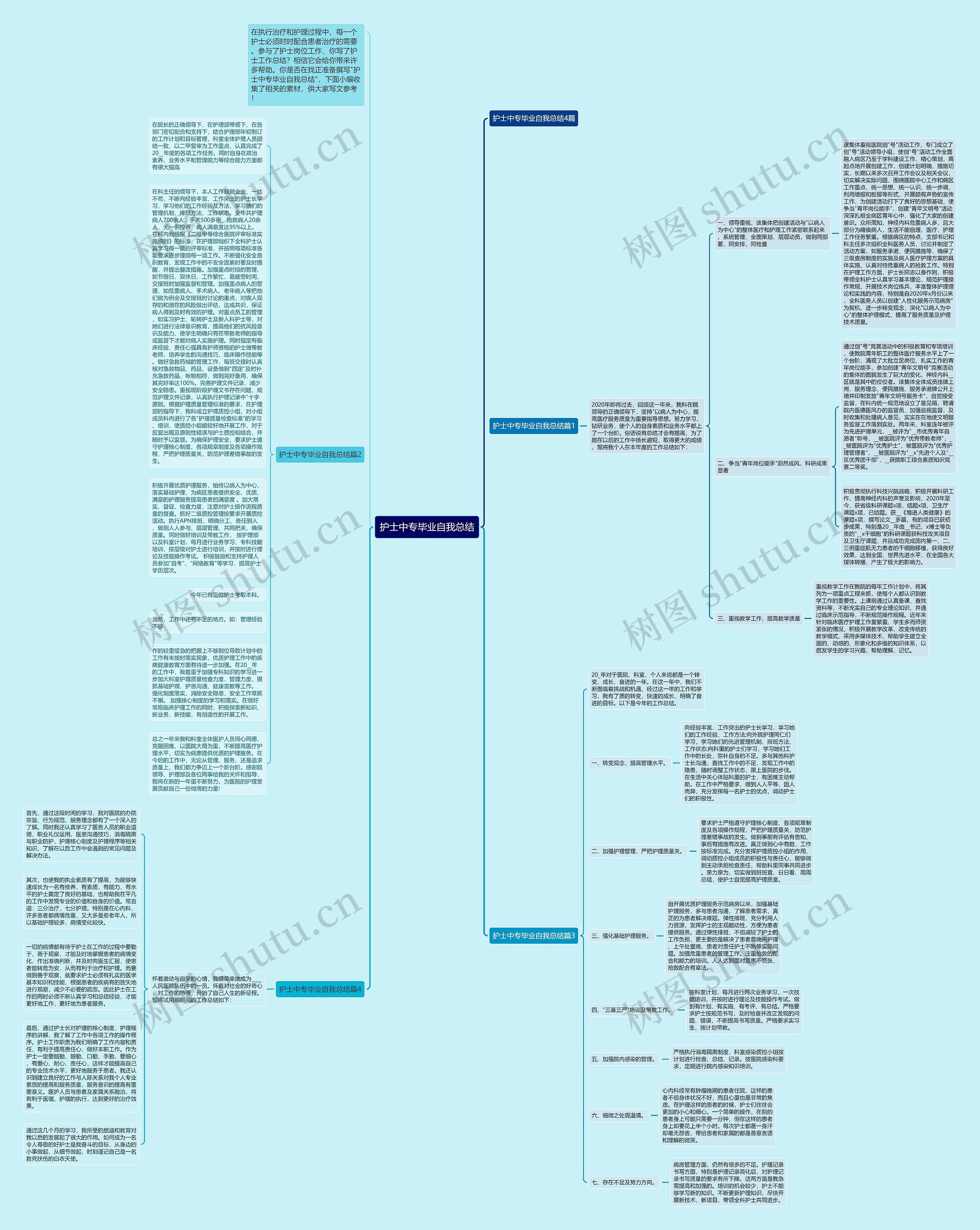 护士中专毕业自我总结思维导图