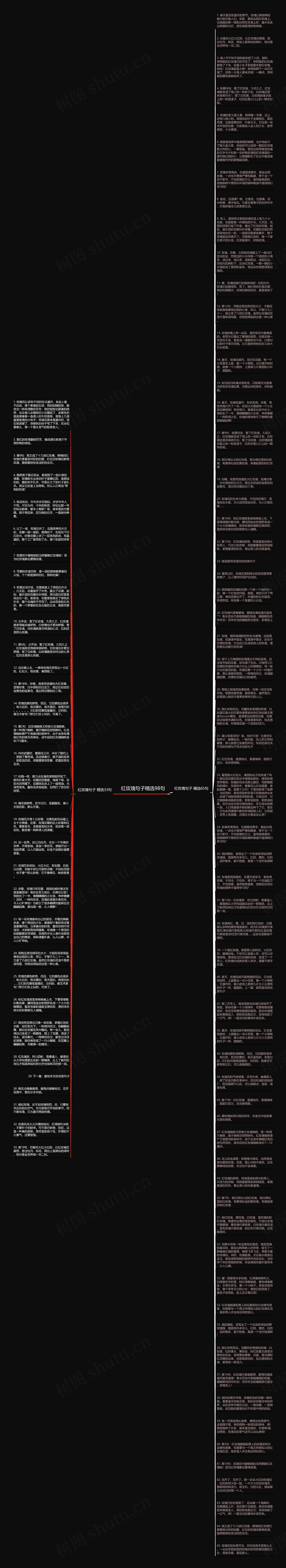 红玫瑰句子精选98句思维导图