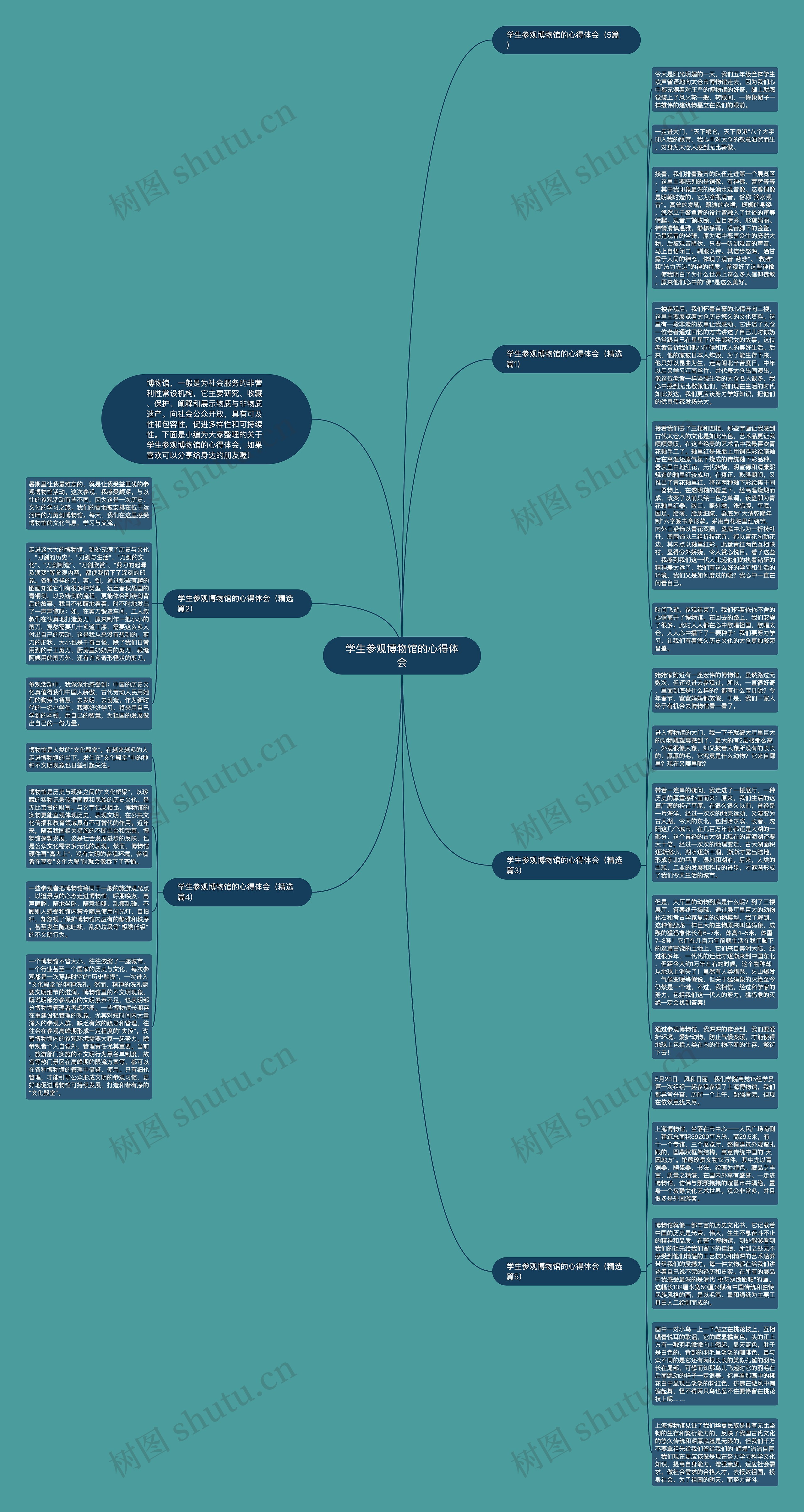 学生参观博物馆的心得体会思维导图
