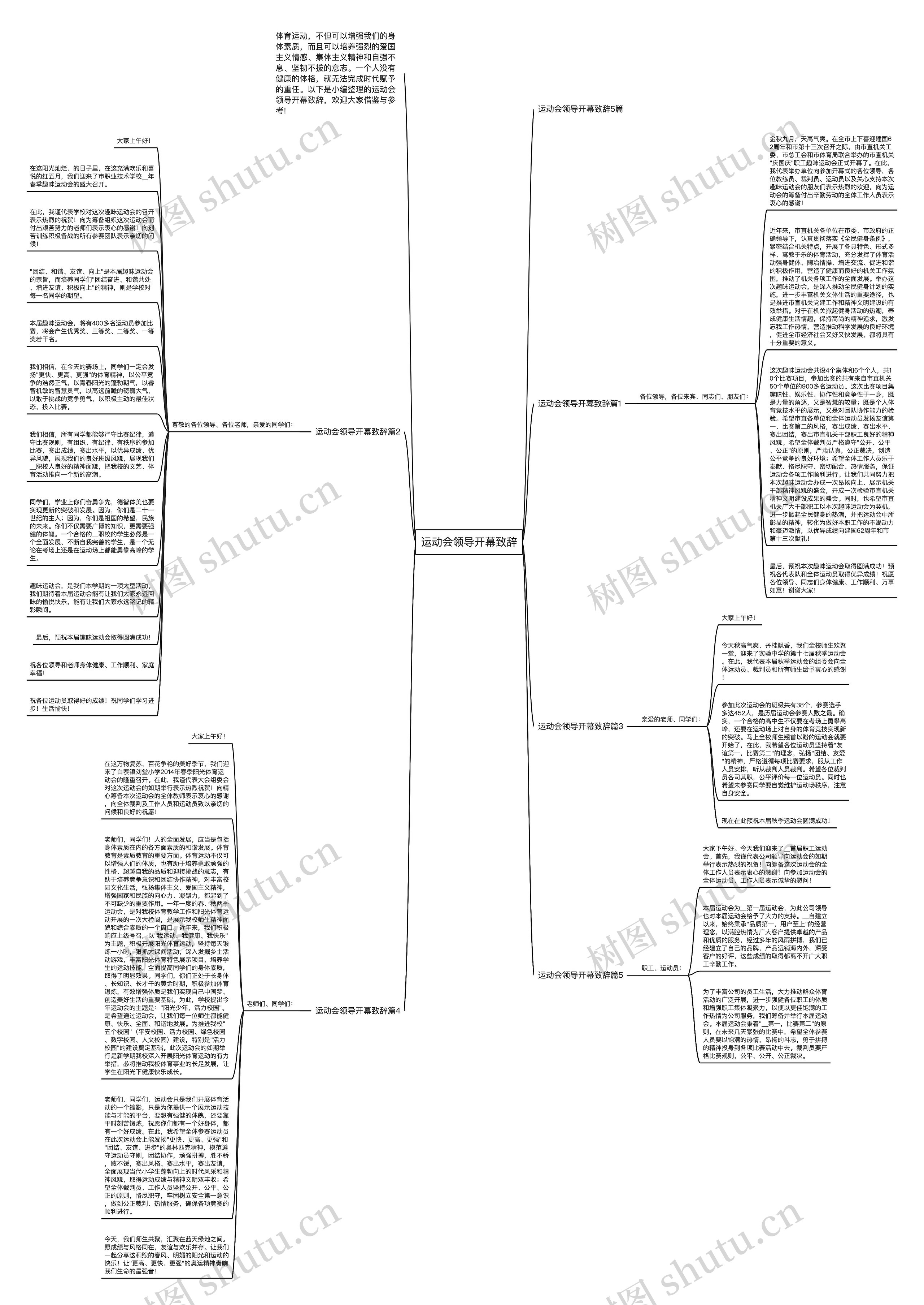 运动会领导开幕致辞思维导图