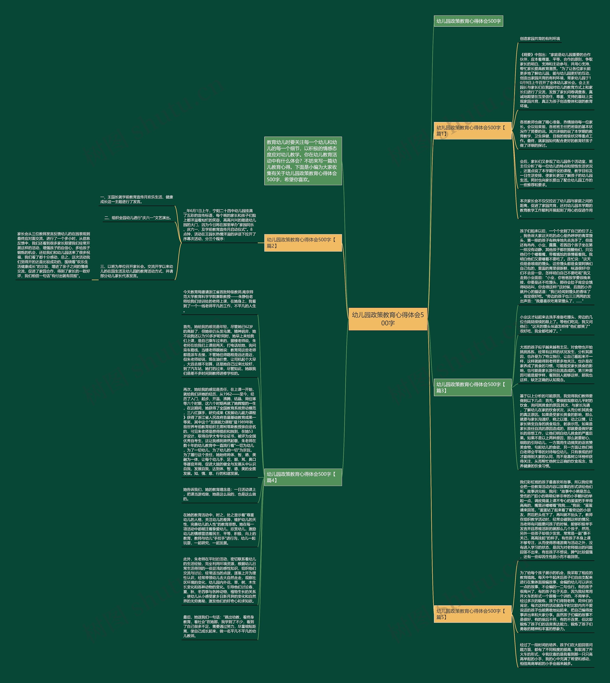 幼儿园政策教育心得体会500字思维导图
